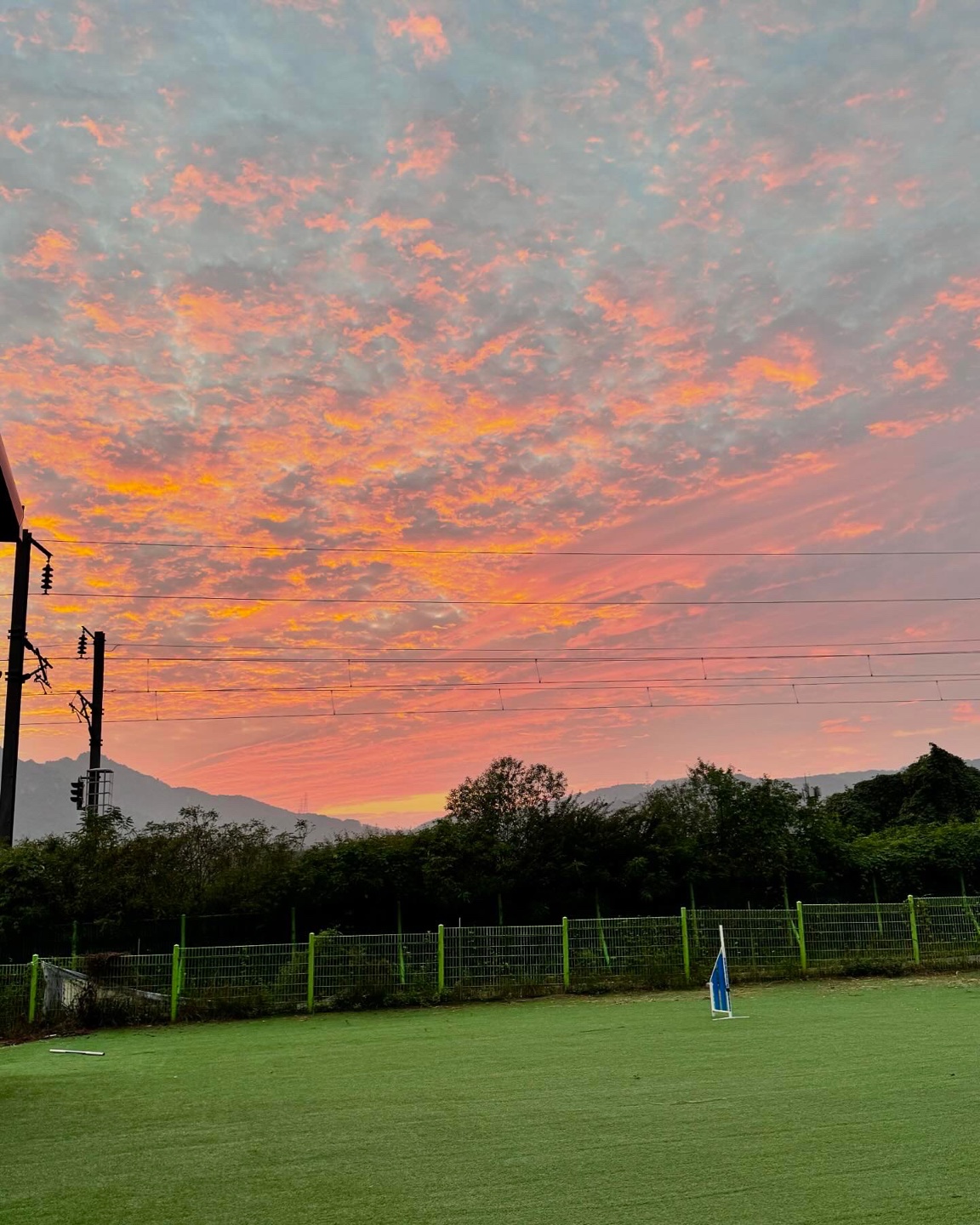 퍼스트독스쿨 대표 이미지