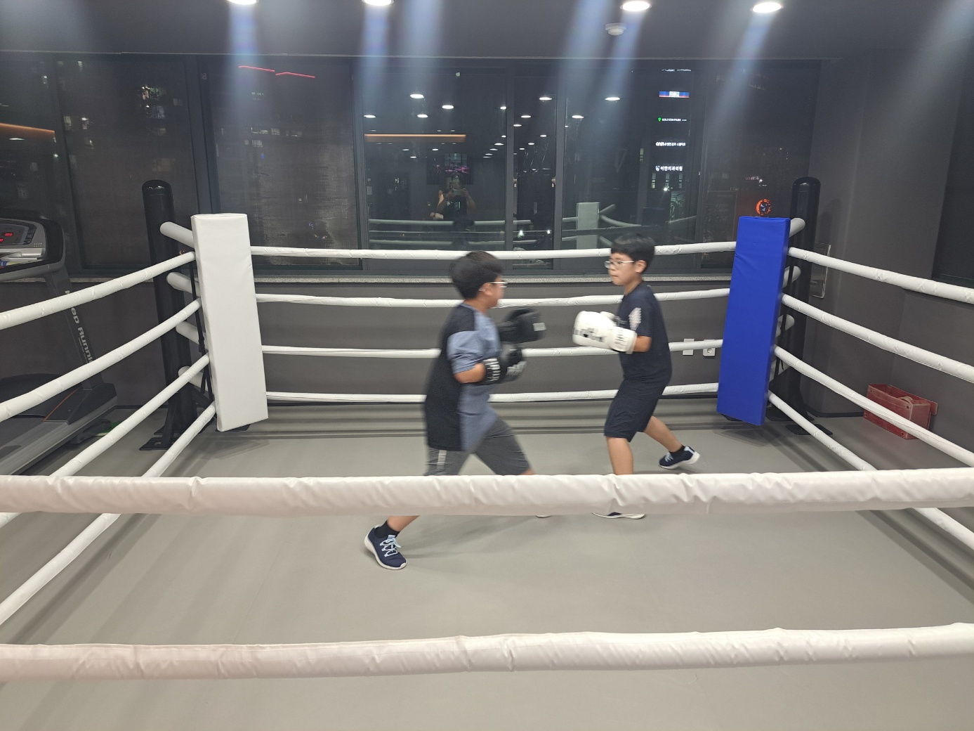 대전 서구 계룡로491번길 복싱체육관 L 복싱 GYM 내부 모습 4