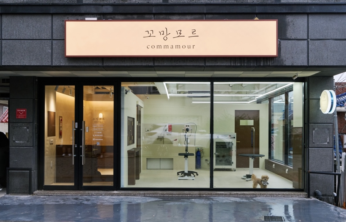 꼬망모르 애견미용실 대표 이미지