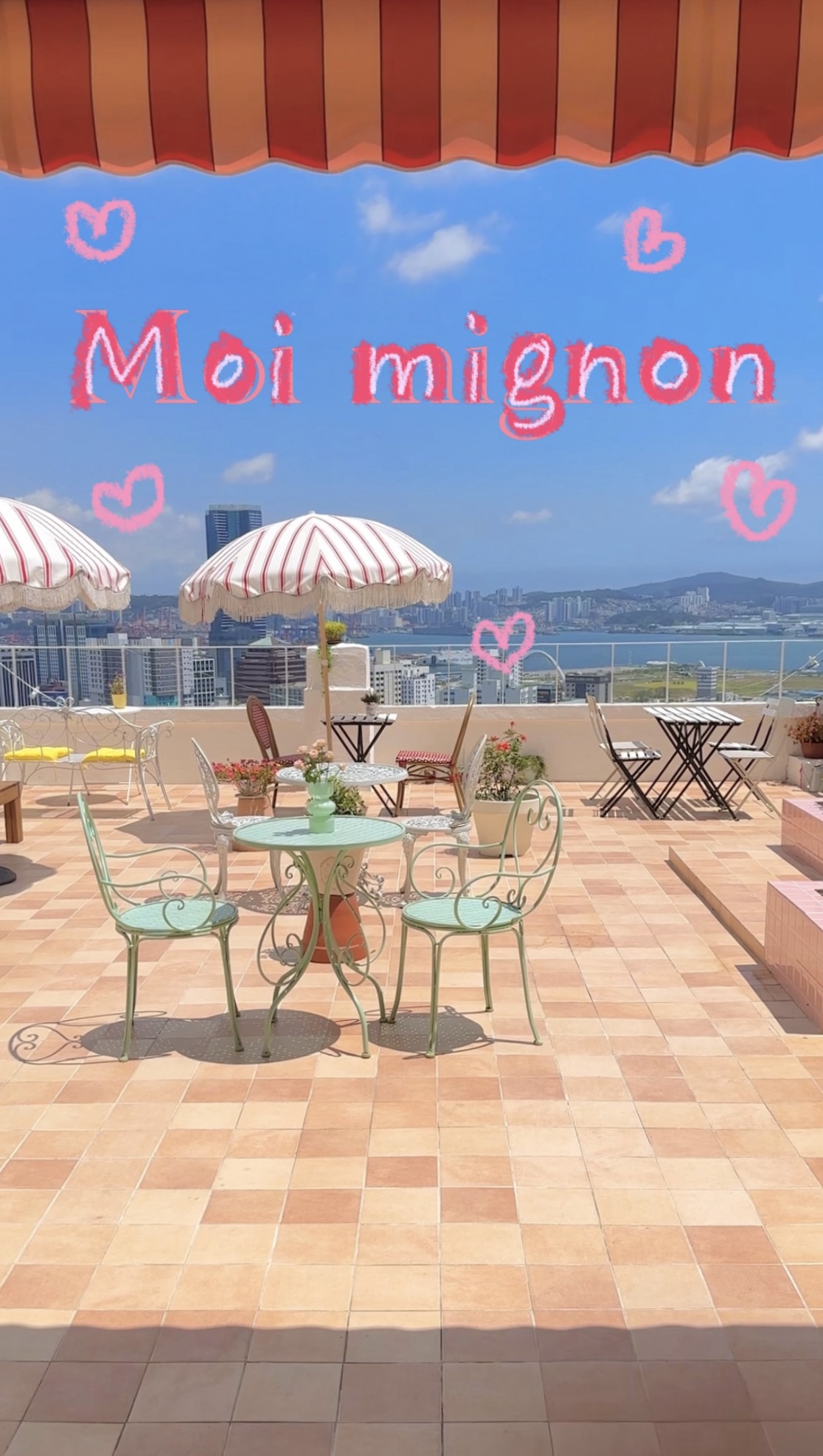 모아미뇽 Moi mignon