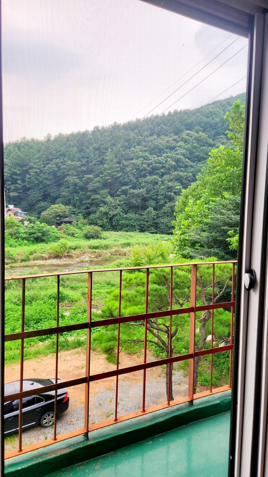 업체사진