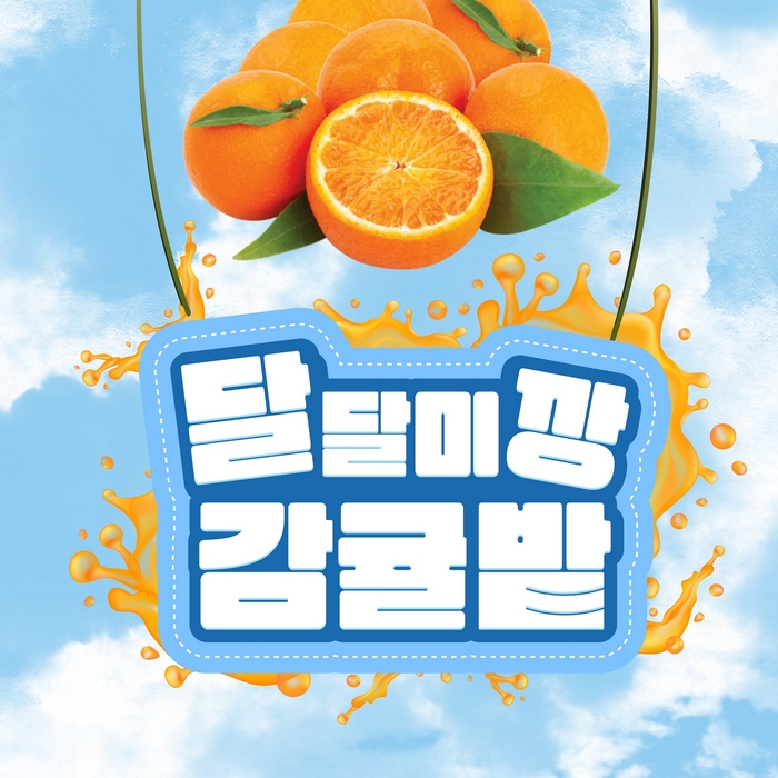 달달미깡감귤밭