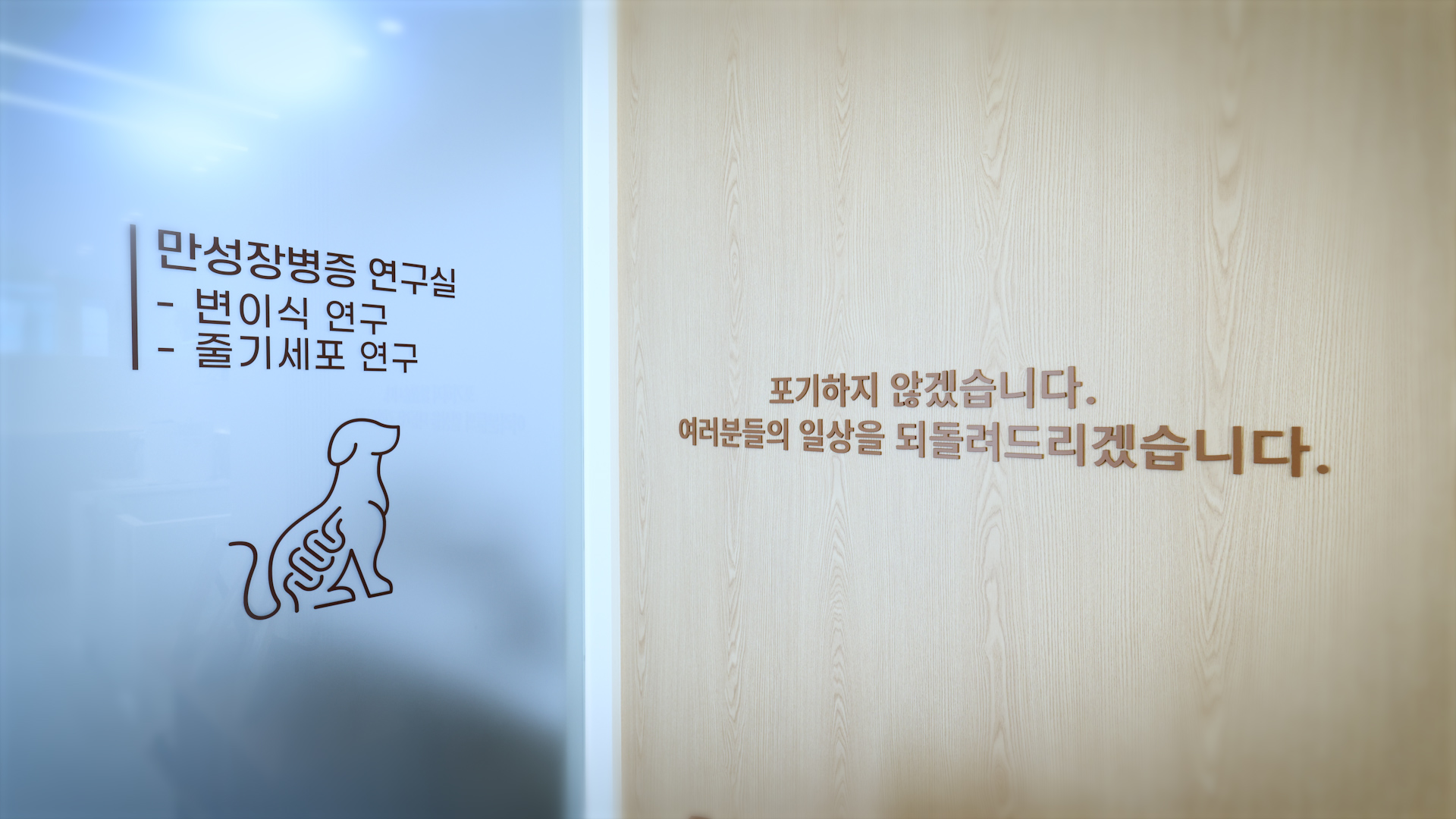 청담 장튼튼내과동물병원 대표 이미지