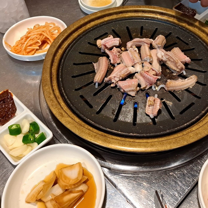 꼼장어