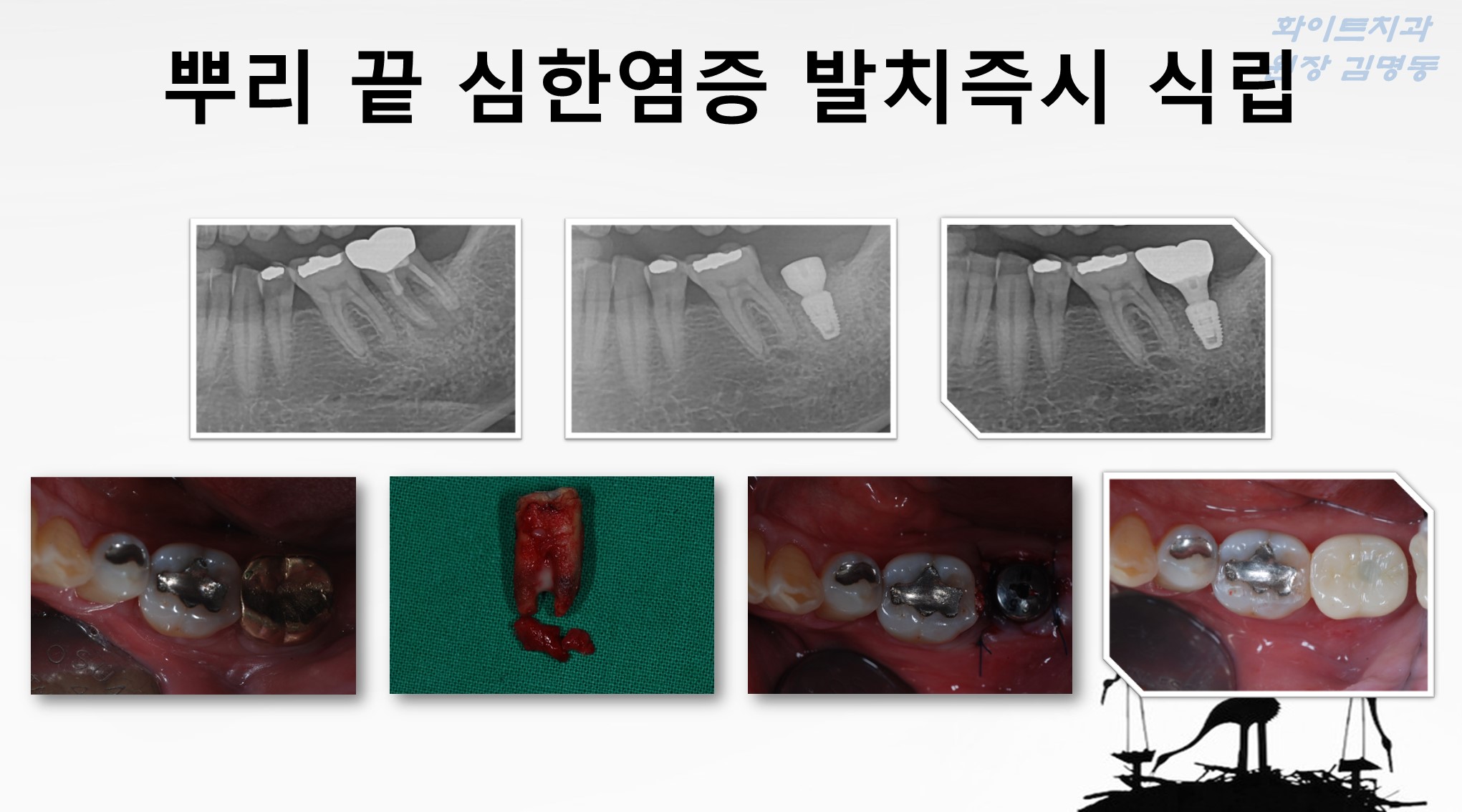 화이트치과의원