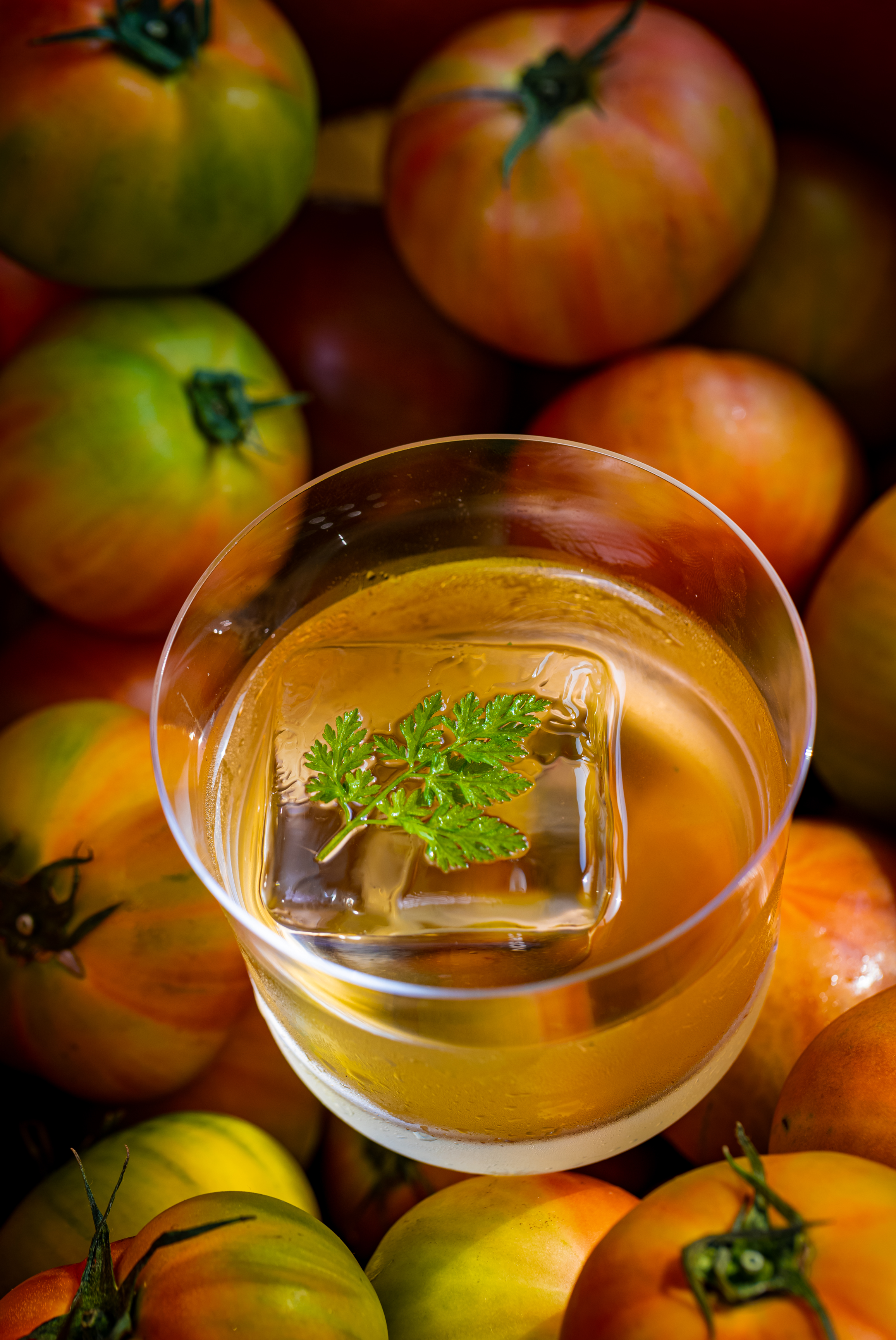 Roma Margarita