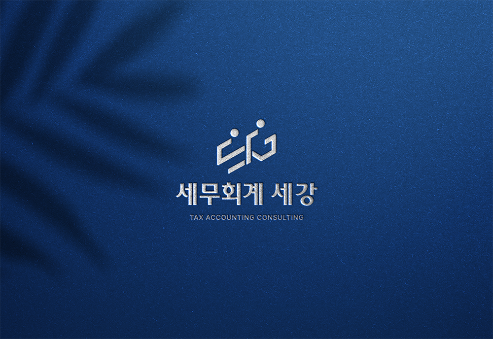 세무회계 세강
