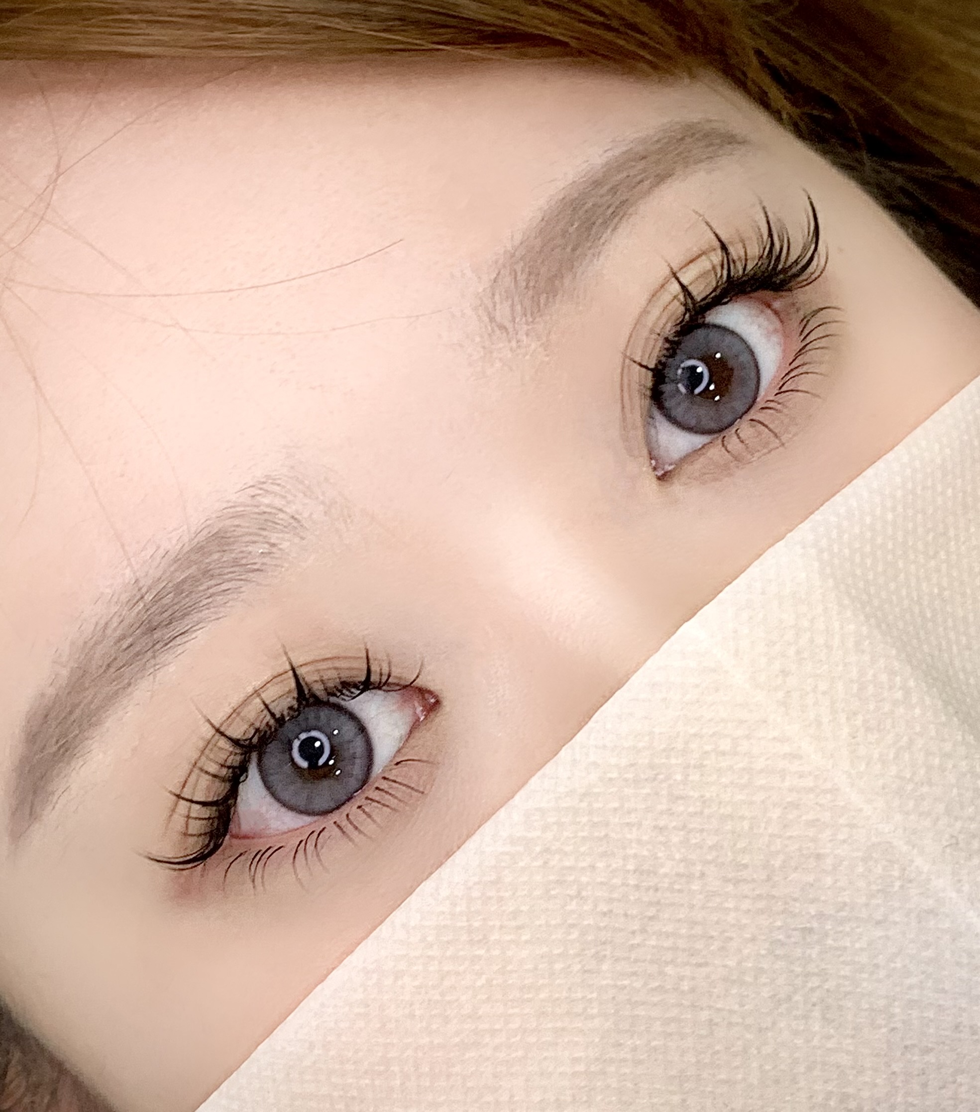 리비래쉬 대표 이미지