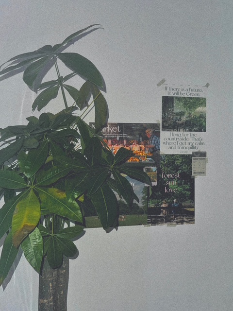 이사장포차 논산점 대표 이미지