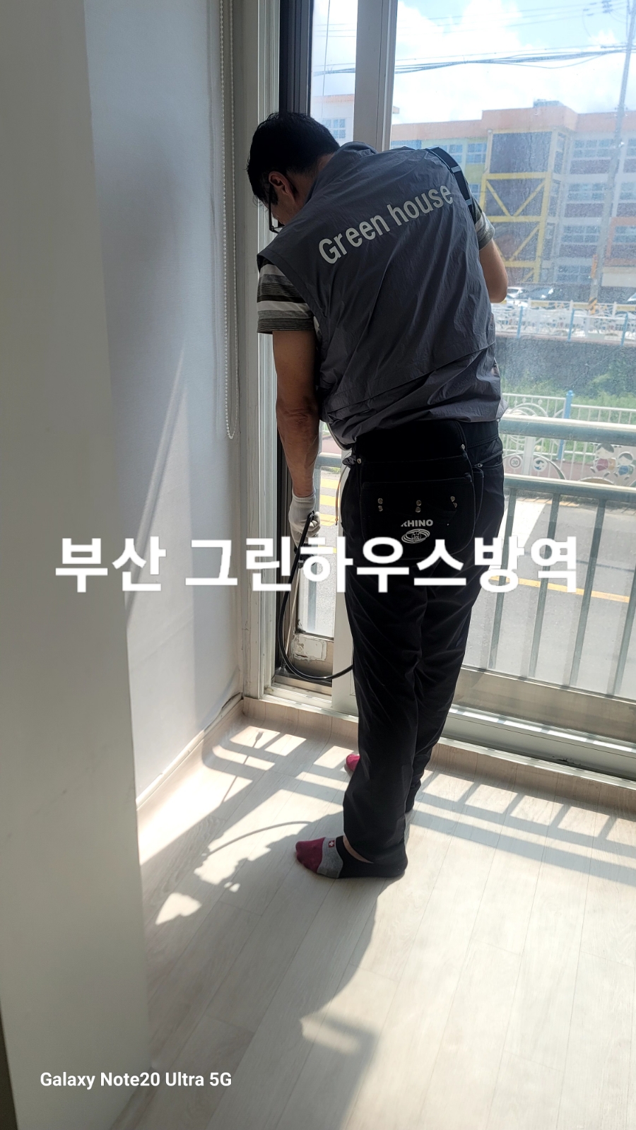 그린하우스방역