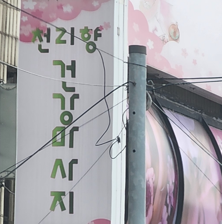 천리향체형관리