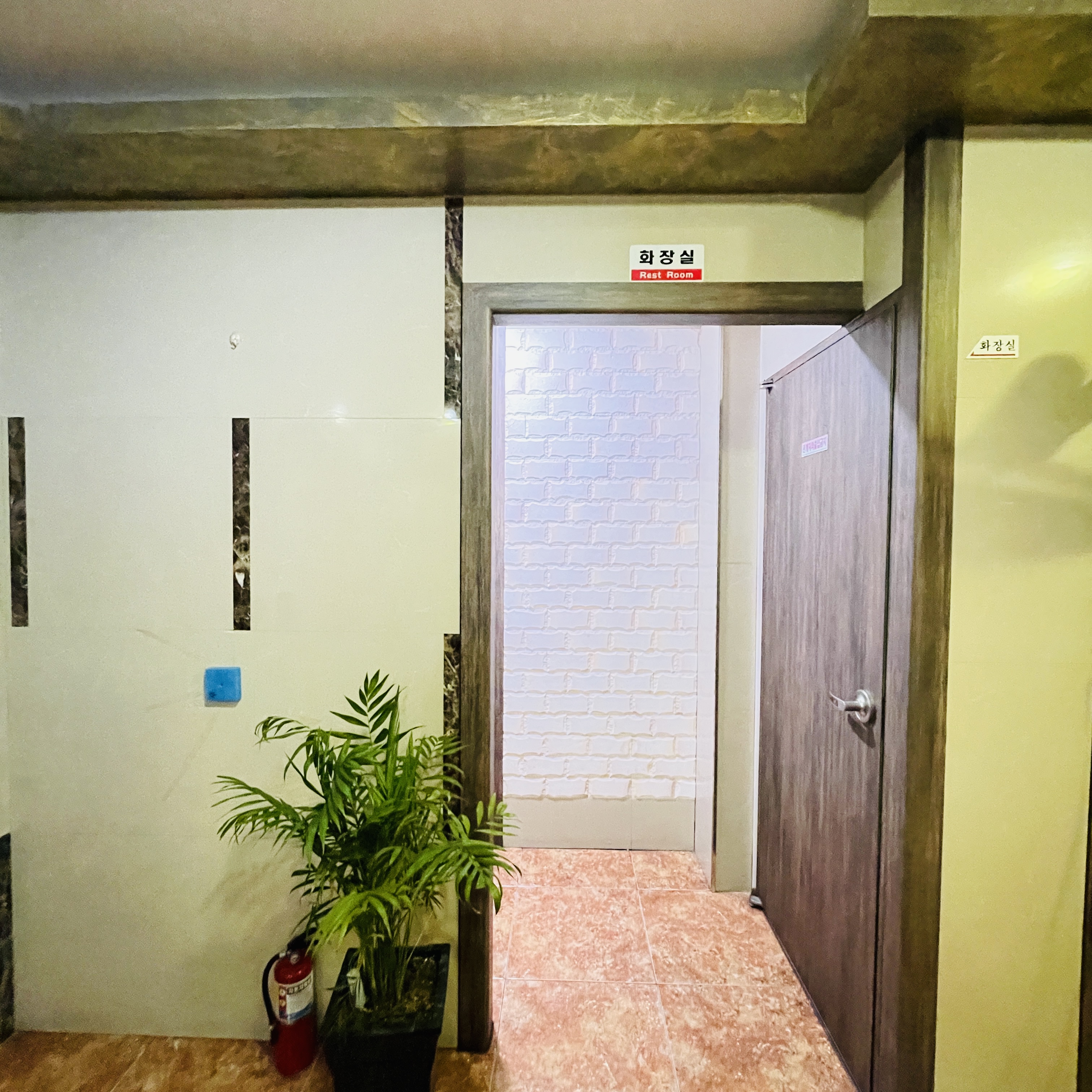 스타아로마 photo 5