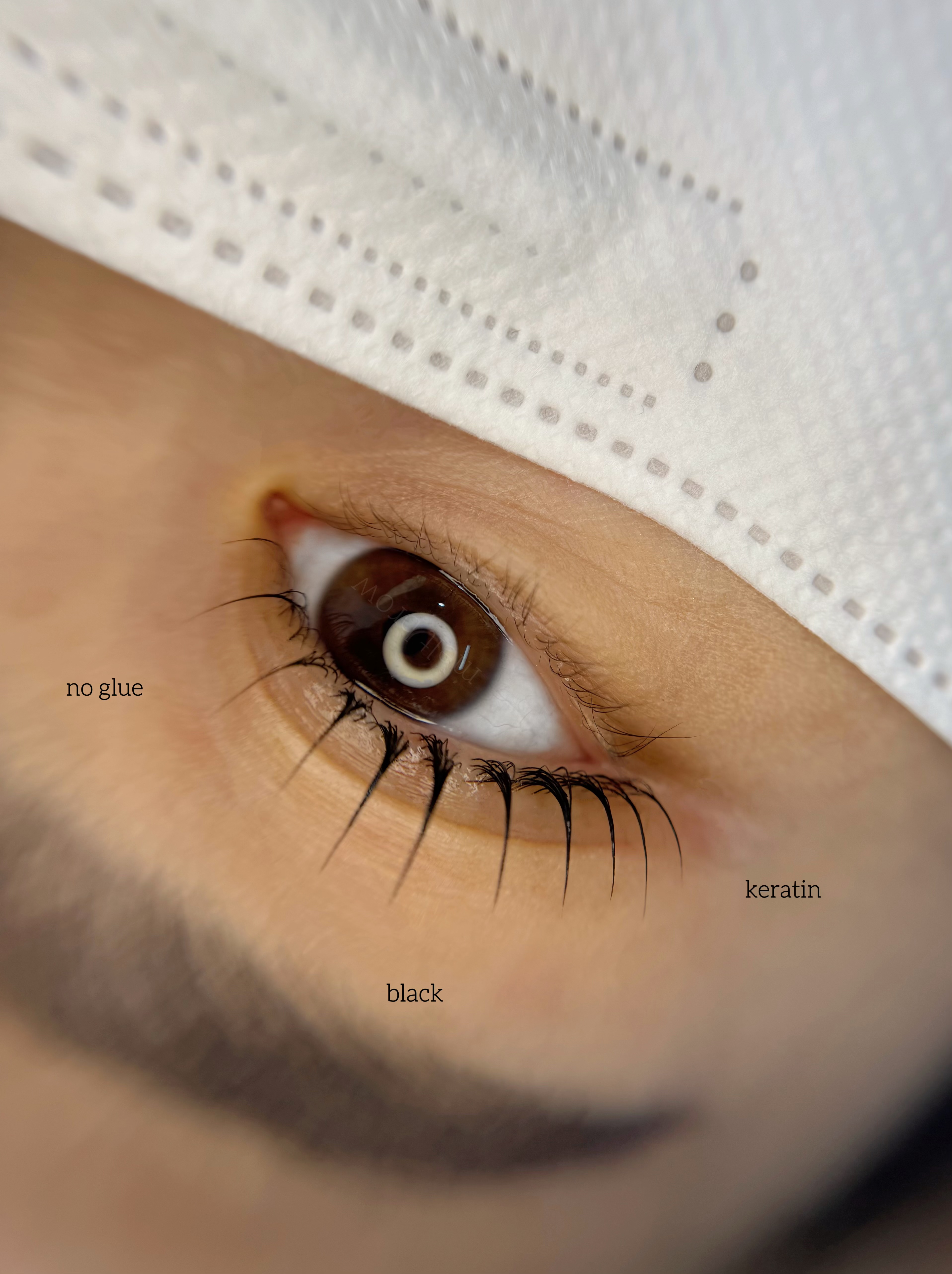 멜트브로우 원주점 대표 이미지