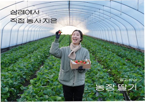 카페딸기밥상