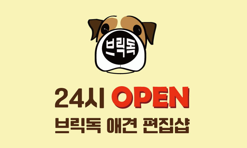브릭독 애견용품 편집샵