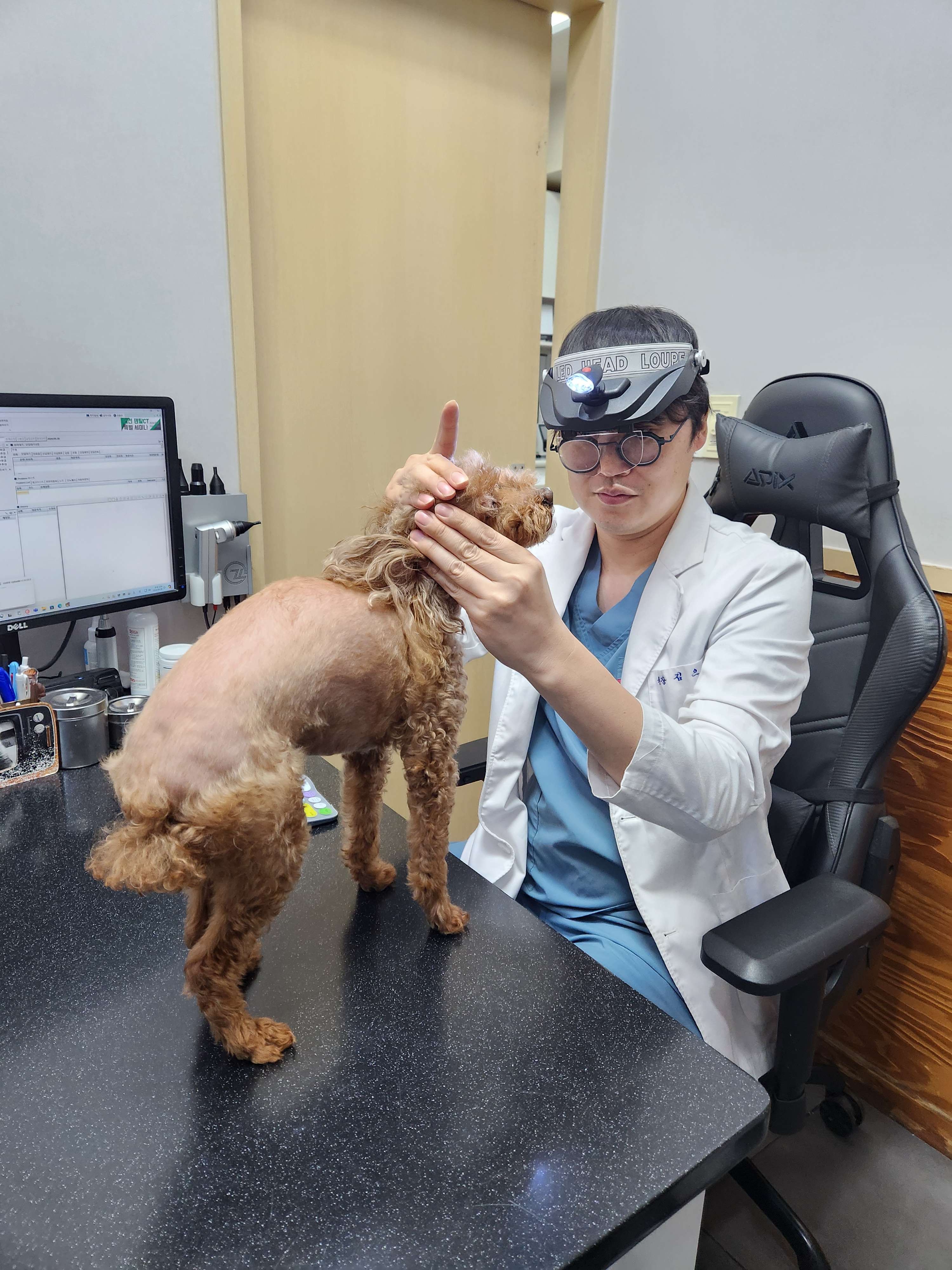 봄봄동물병원 대표 이미지