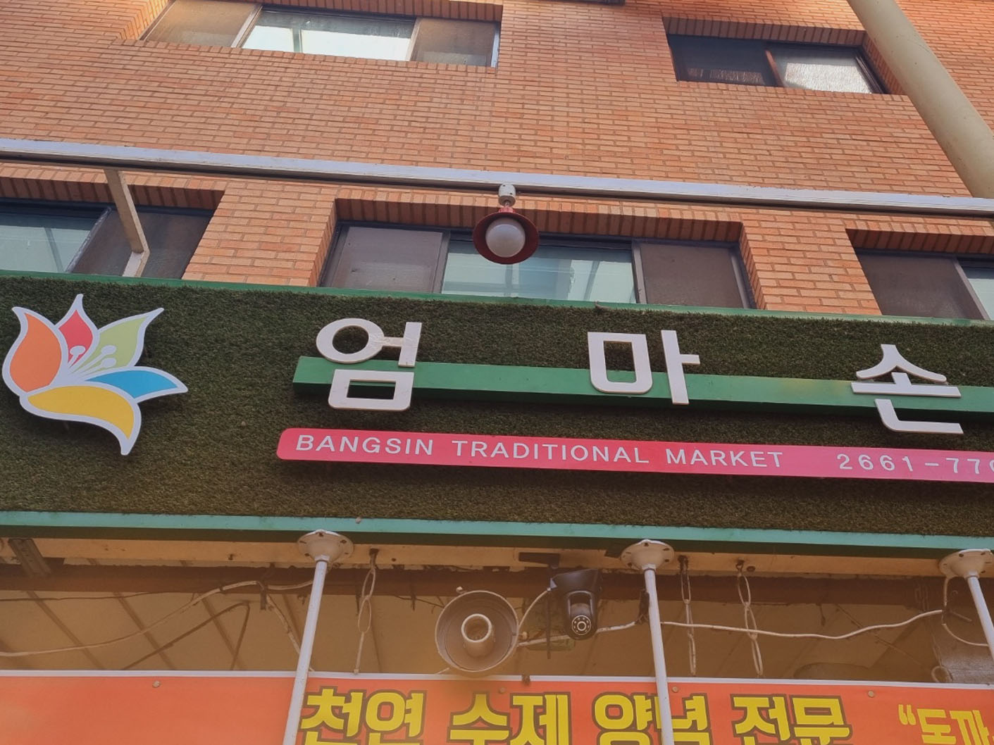 엄마손정육