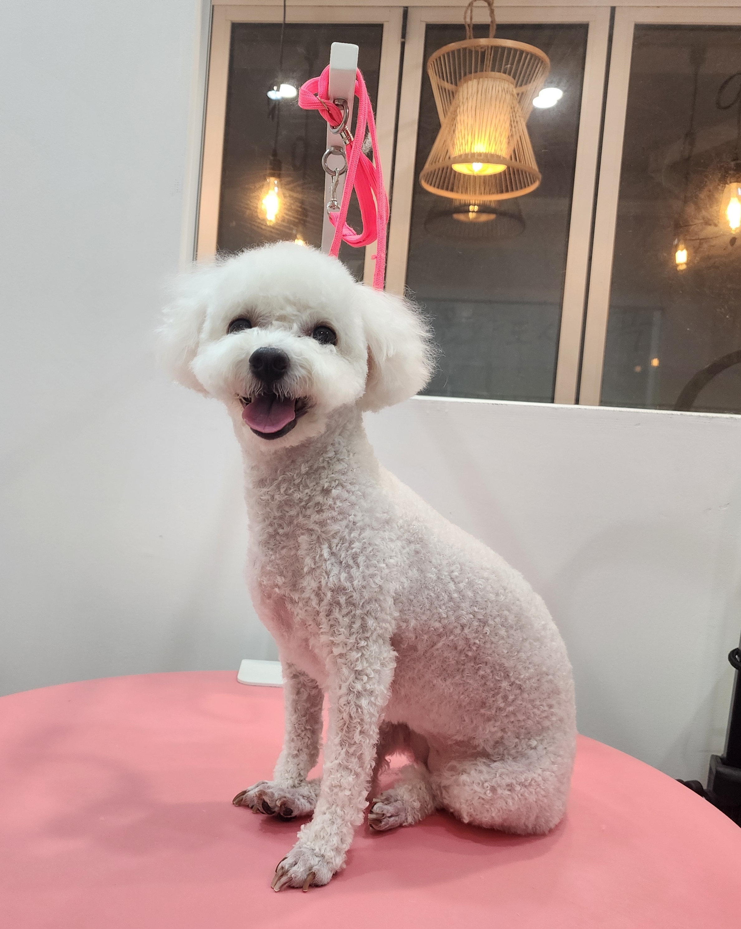 귀여븐댕