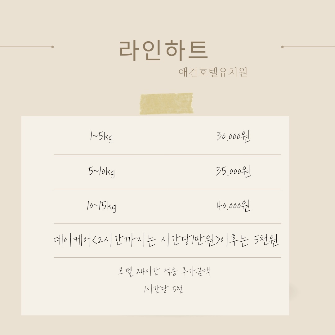 라인하트 대표 이미지