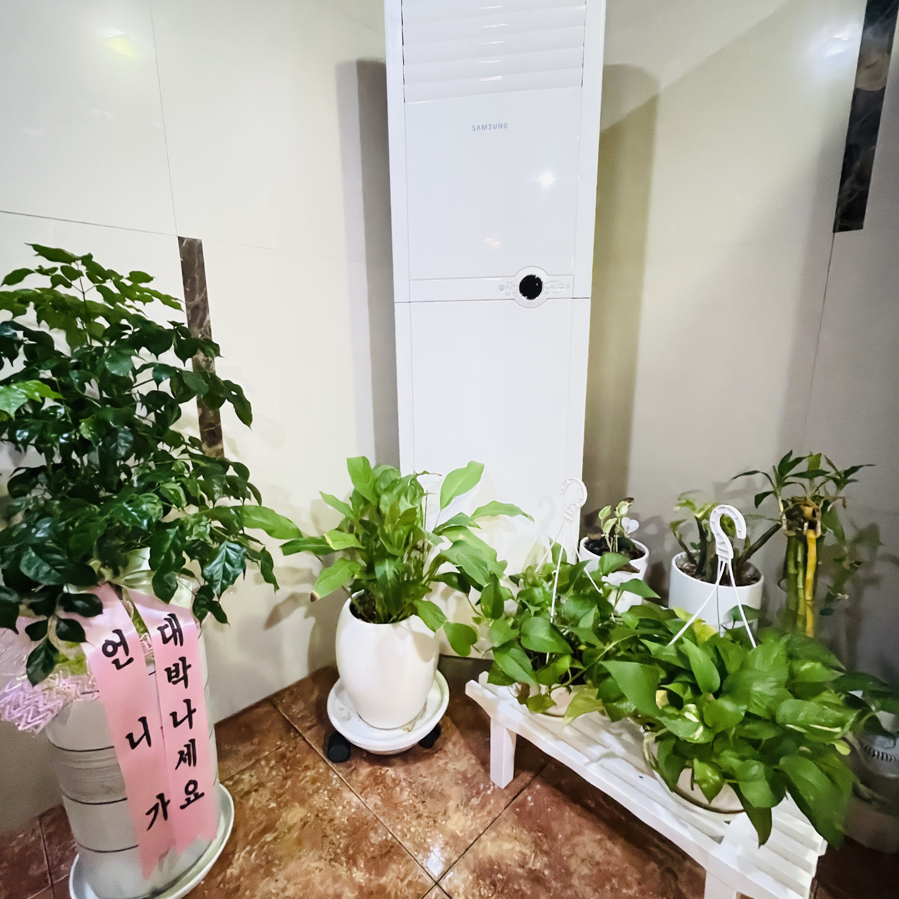 스타아로마 photo 2