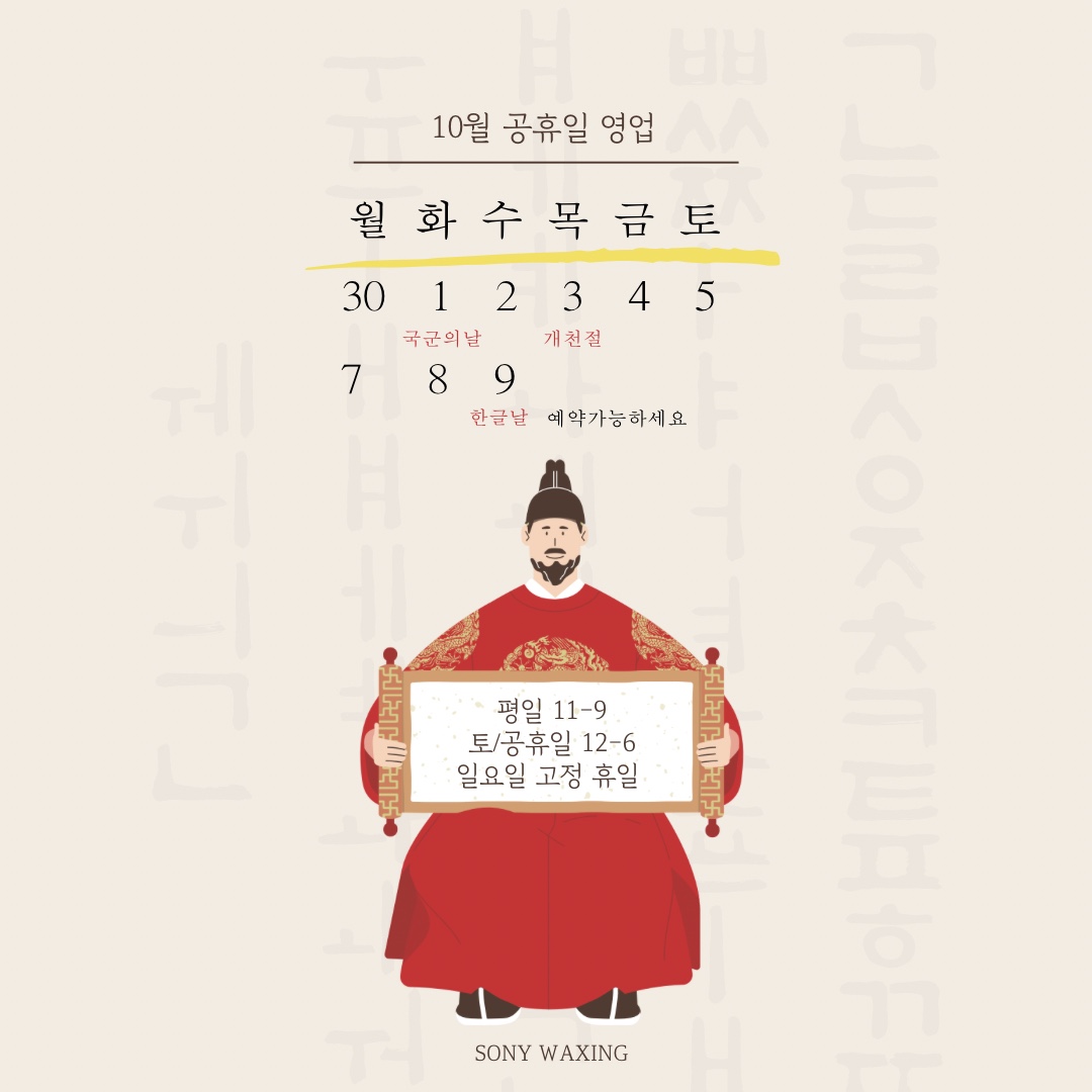 소니왁싱 대표 이미지