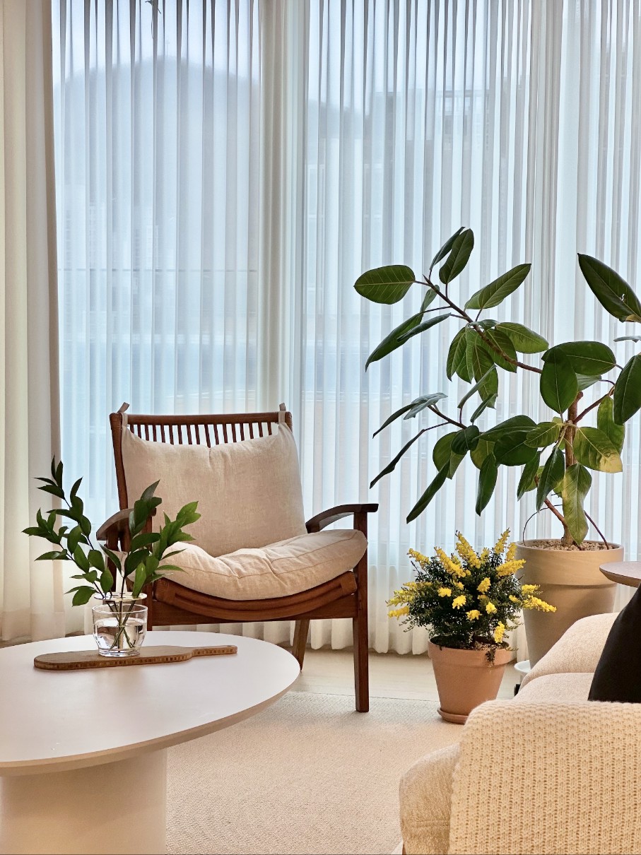 까사오브주 대표 이미지