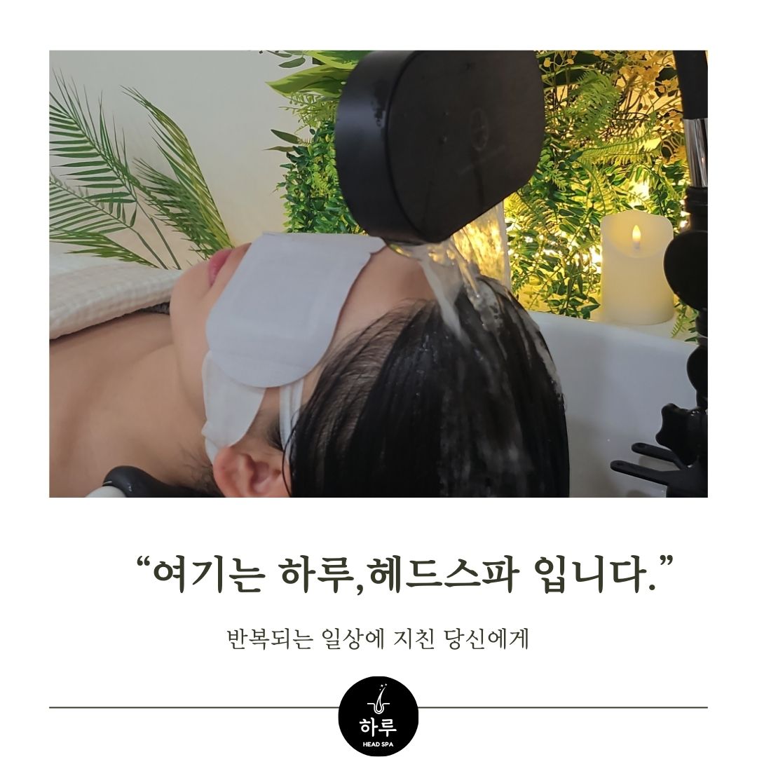 하루헤드스파