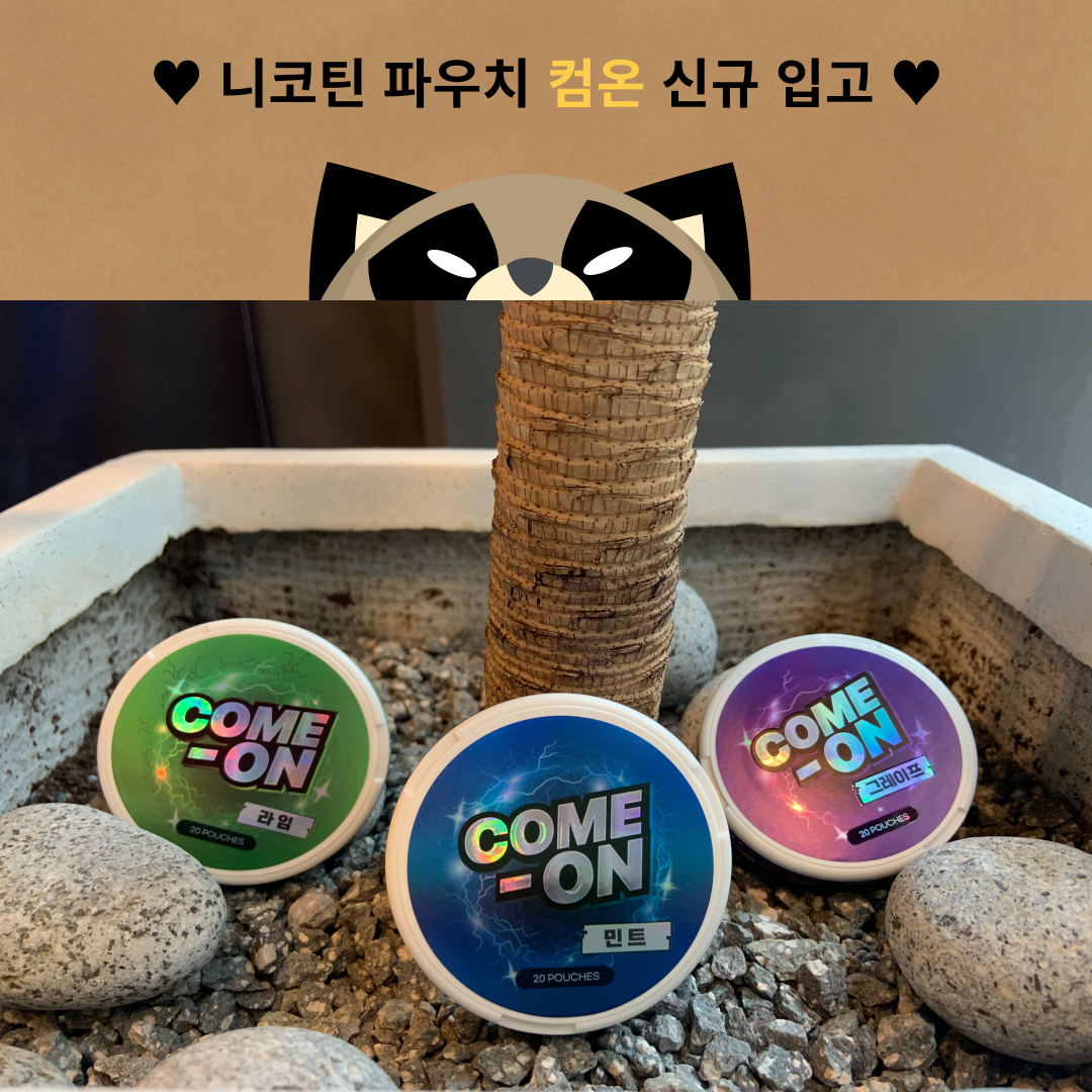 송파 너구리굴 전자담배 문정점