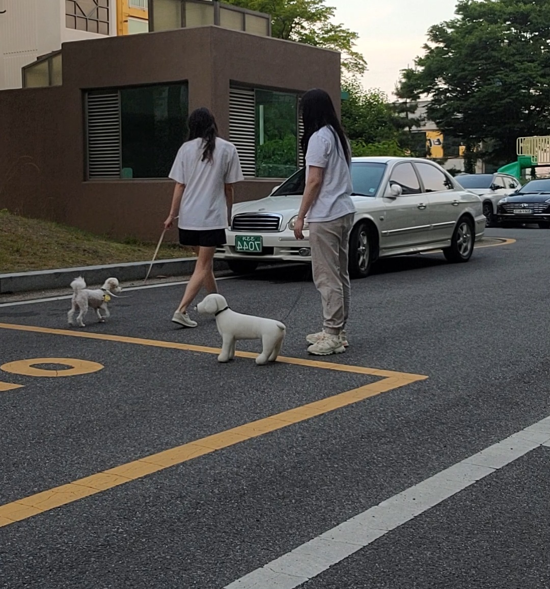 토닥토닥 애견방문훈련 대표 이미지