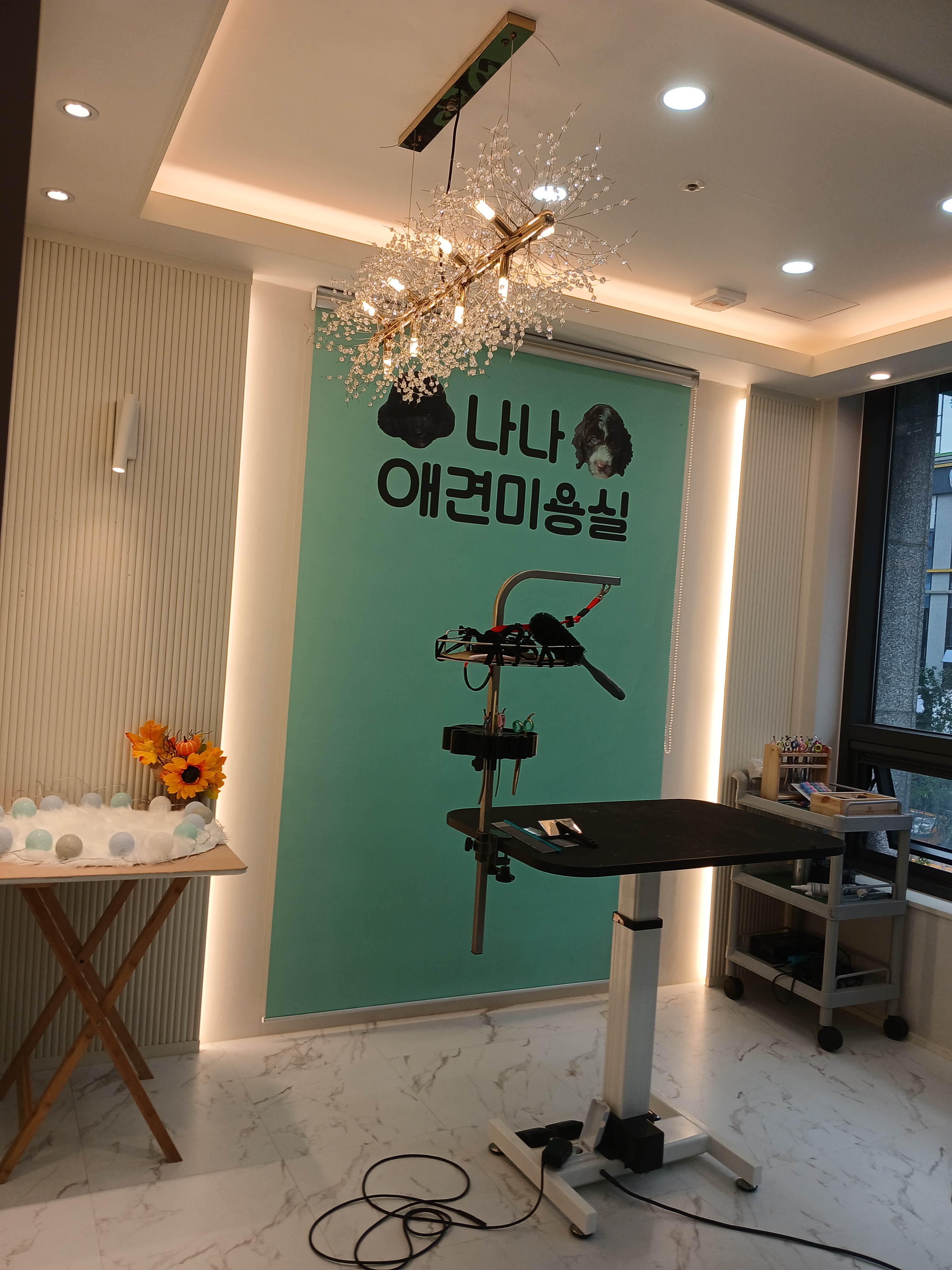 나나애견미용실