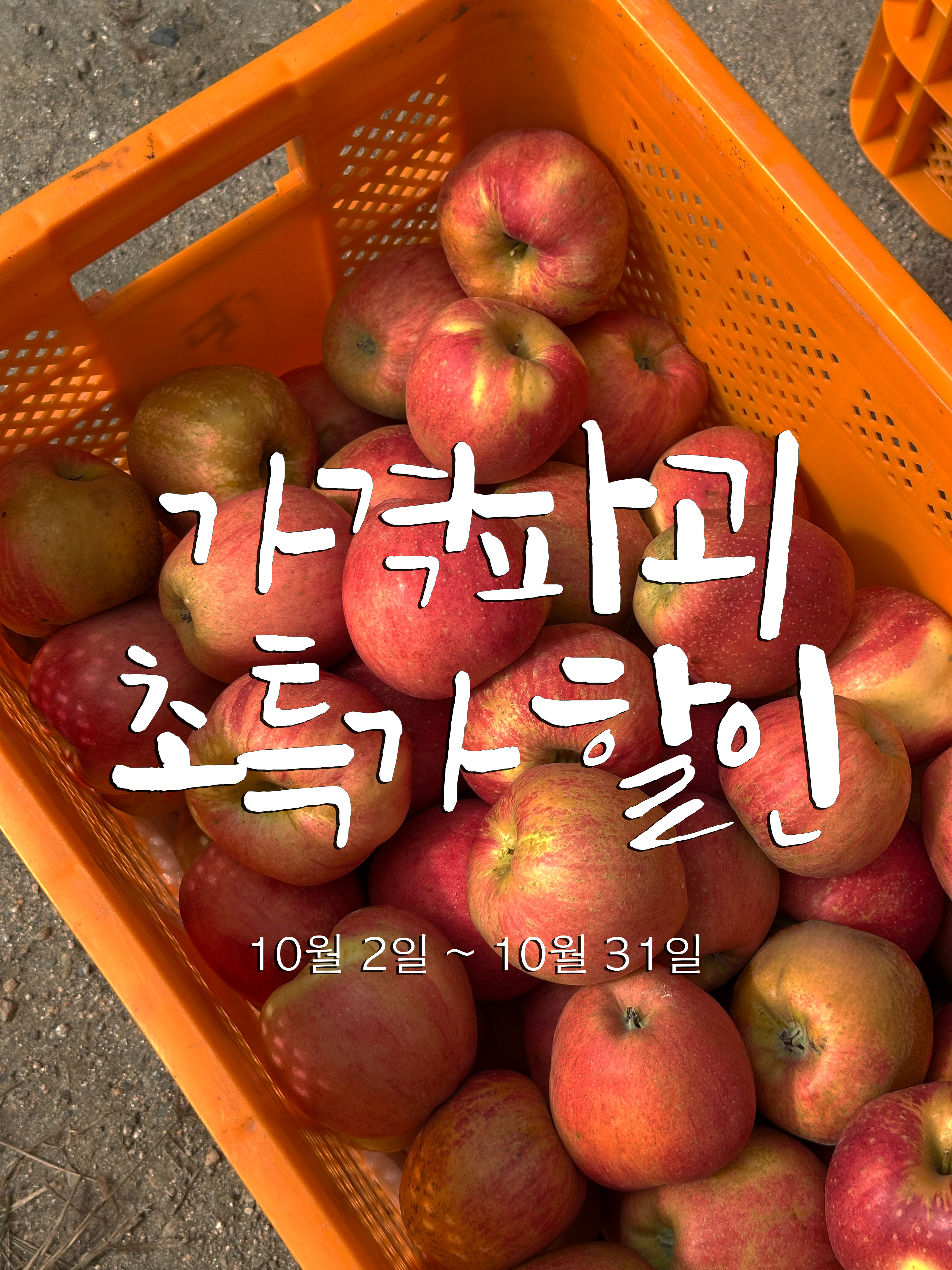 황매산 과수원