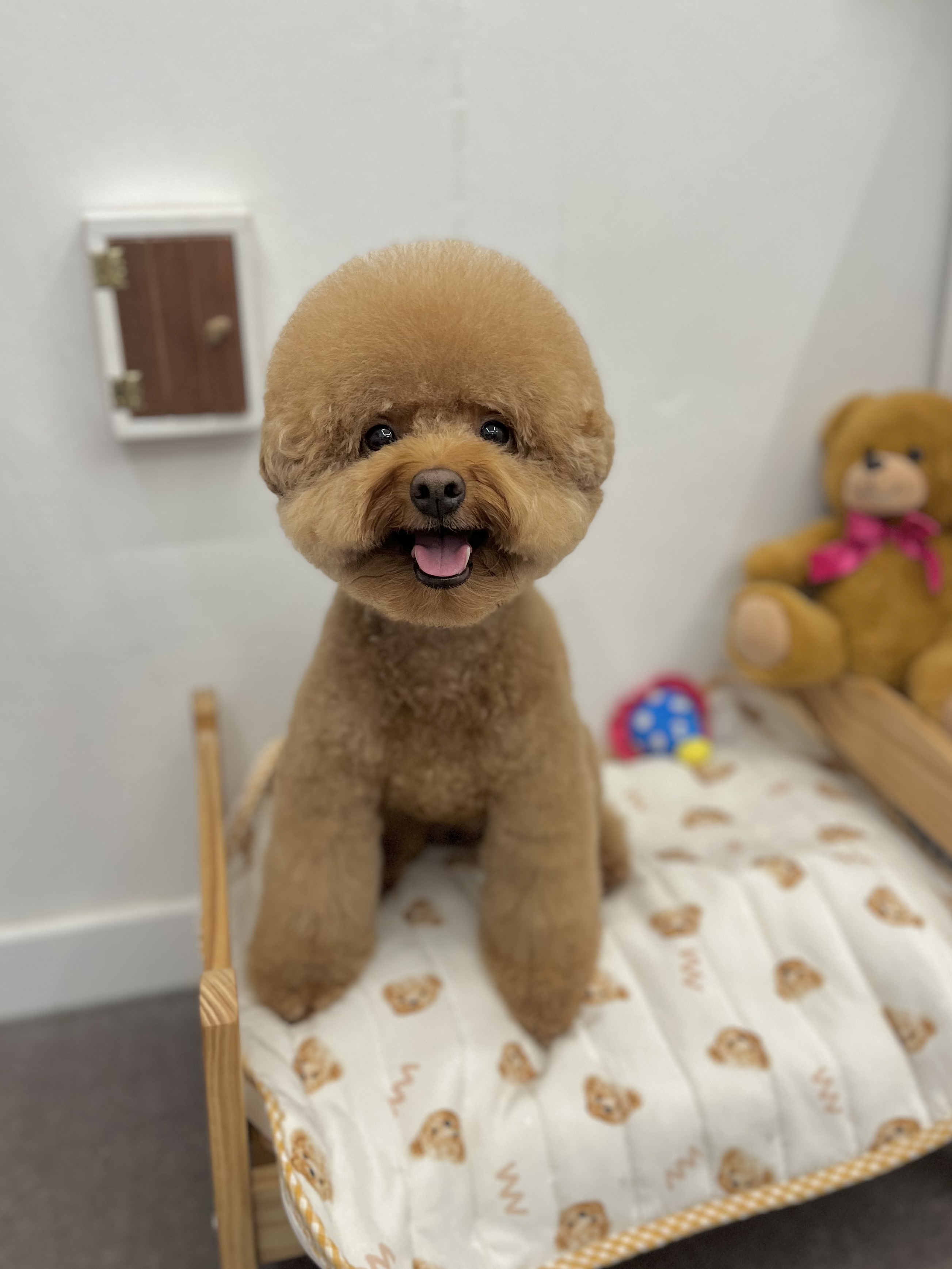 묭데이 대표 이미지