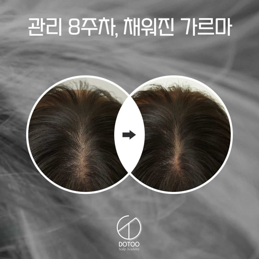 도투 대표 이미지