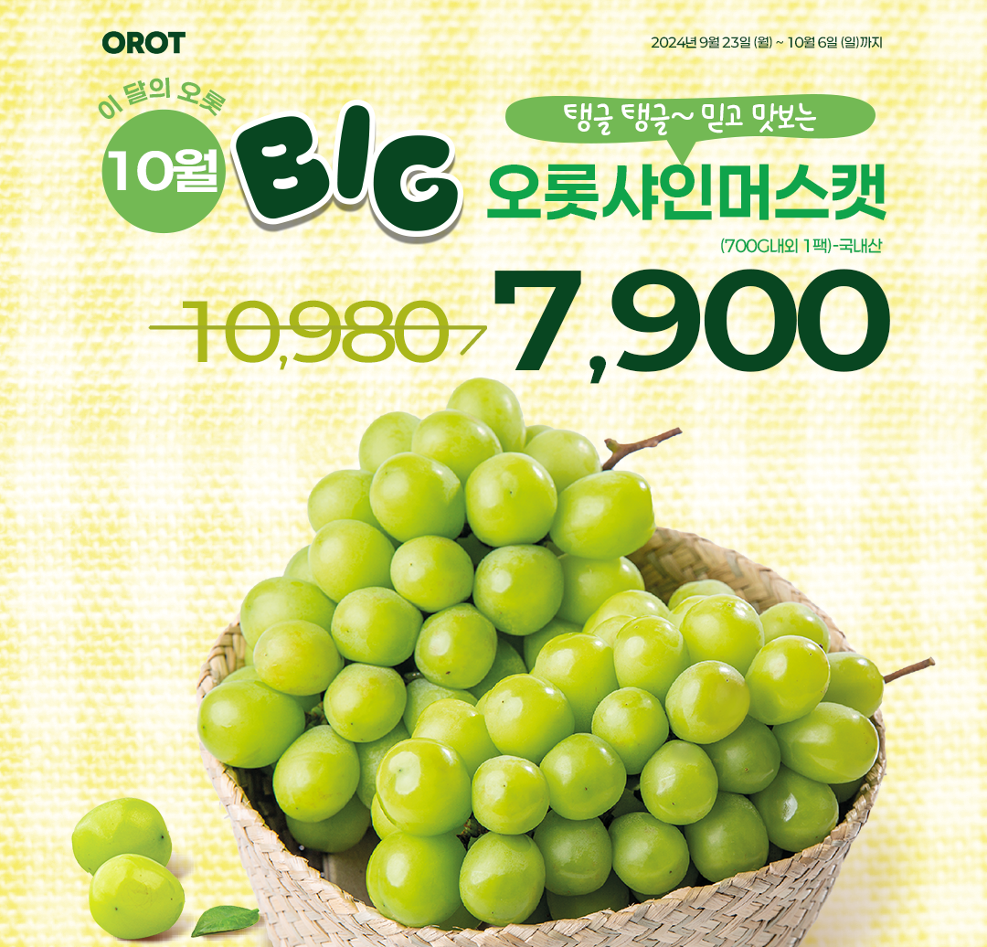 오롯 선릉한신인터밸리점
