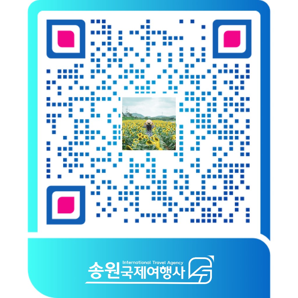 송원국제여행사 대만비자 일본비자