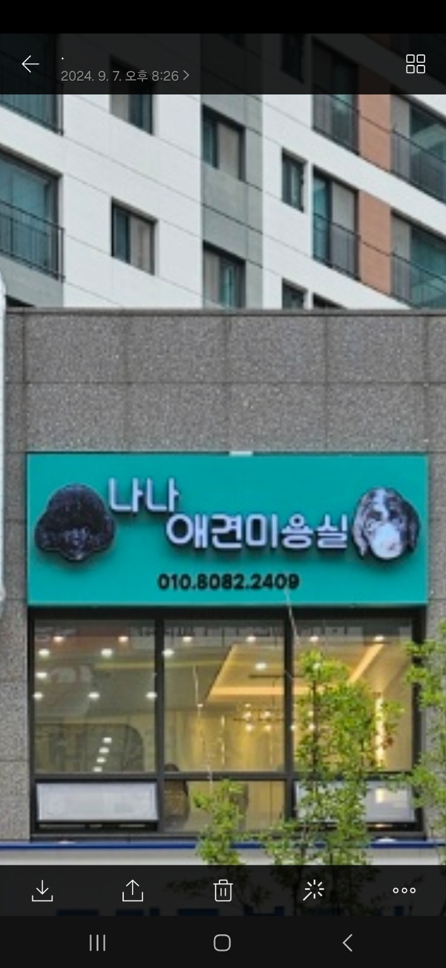나나애견미용실