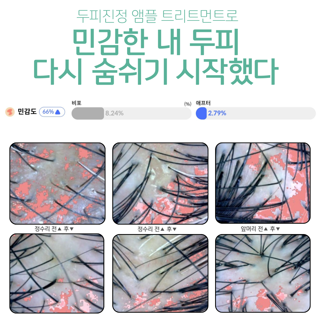 도투 대표 이미지