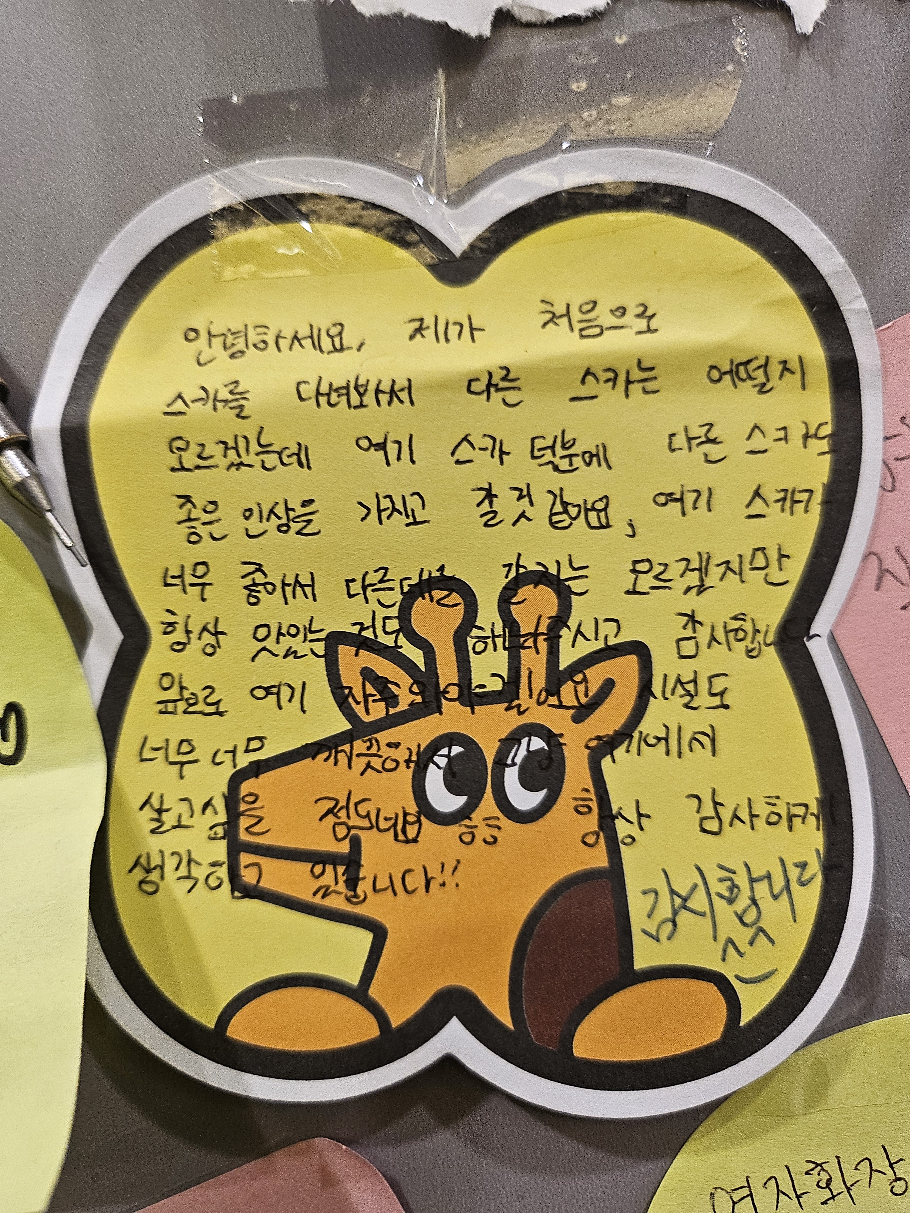 업체사진
