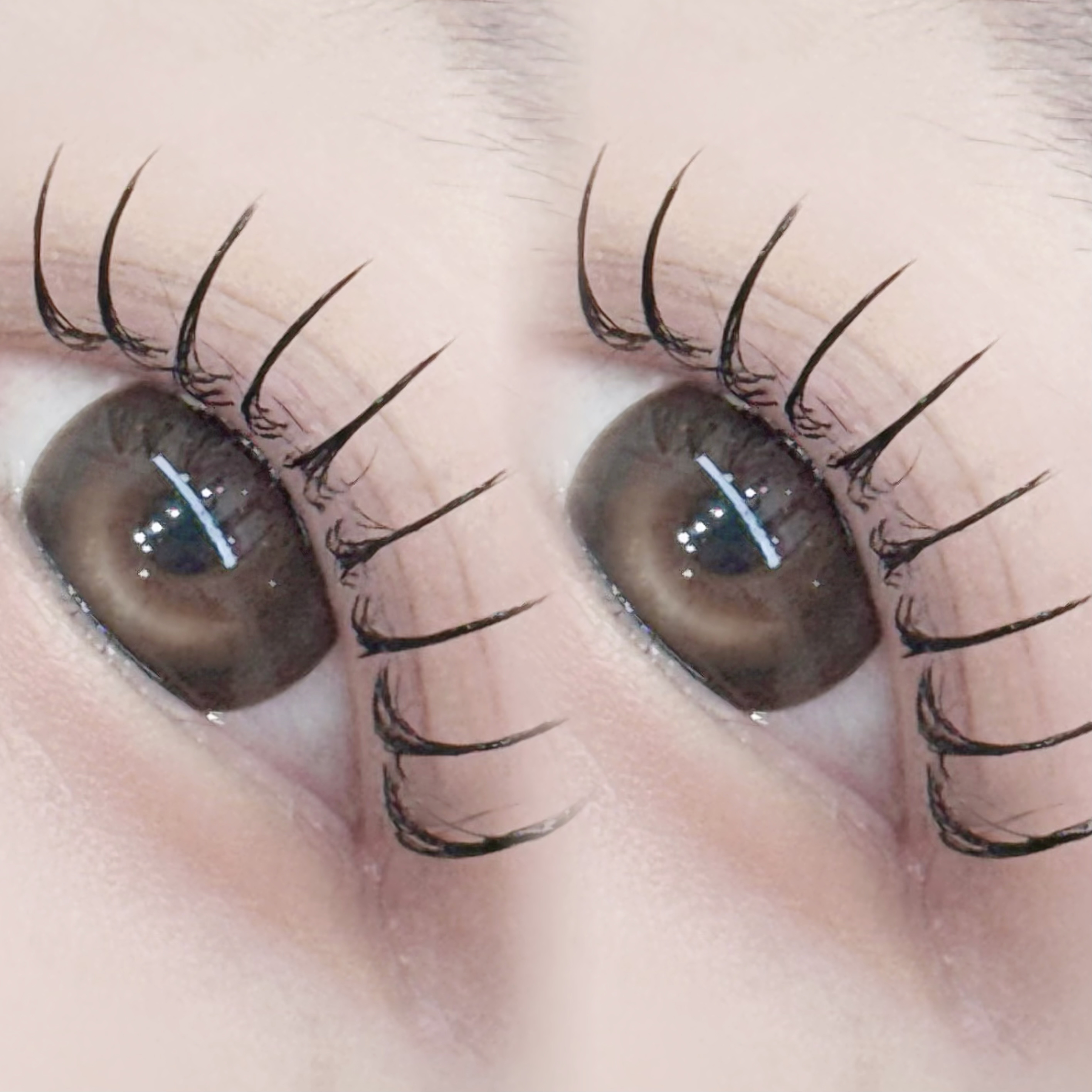 유네일속눈썹 대표 이미지