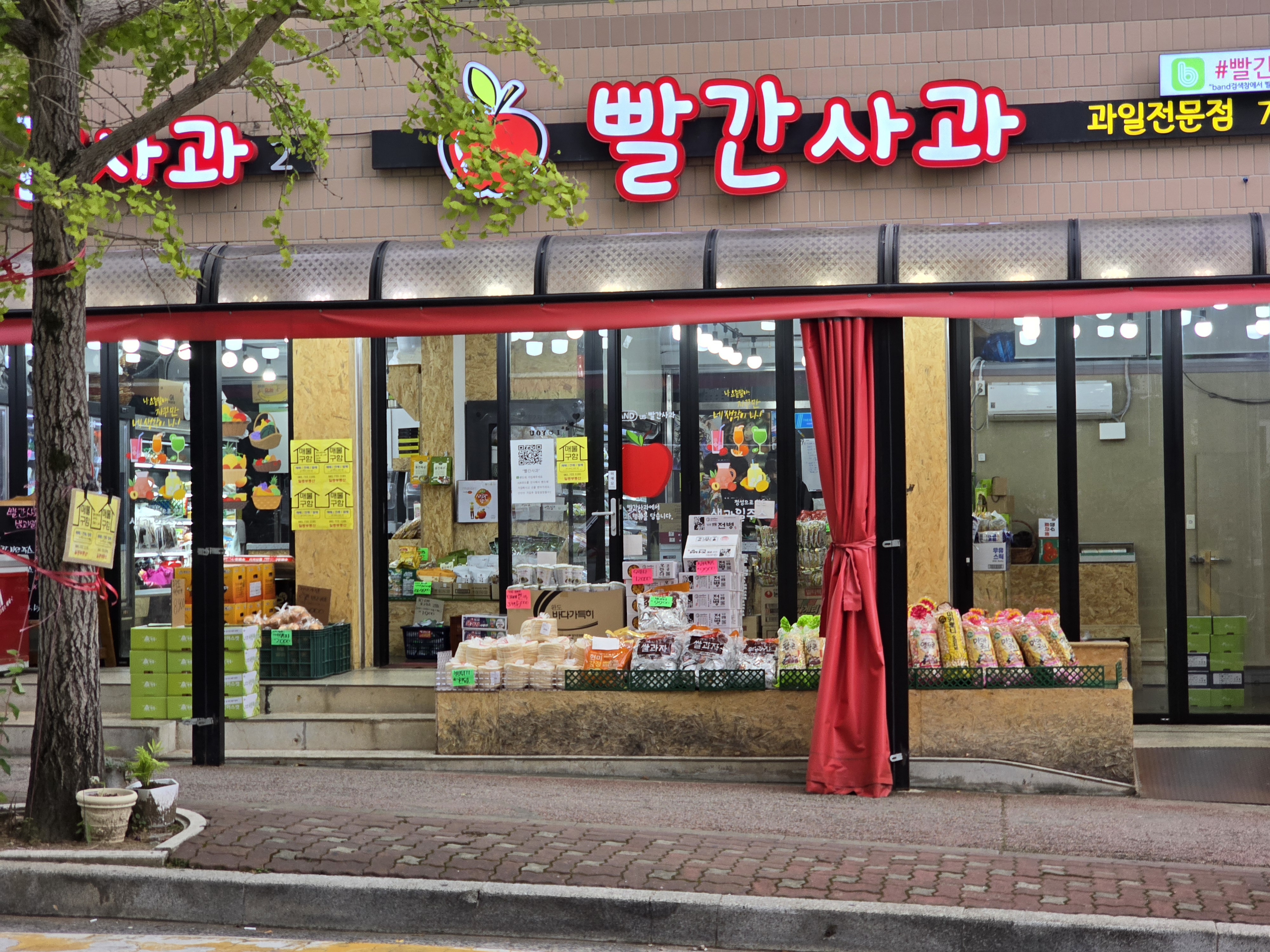 빨간사과 반려동물 동반 애견카페