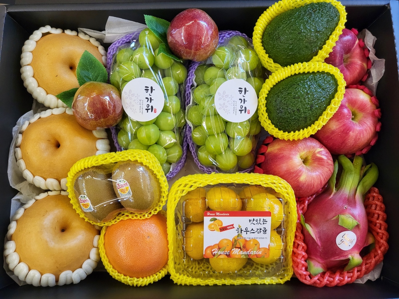 프로과일러