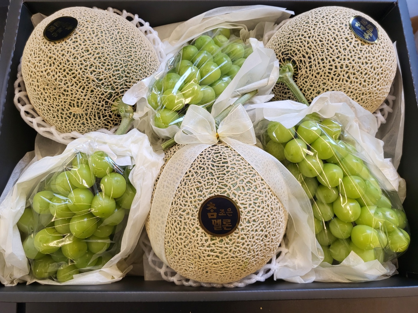 프로과일러
