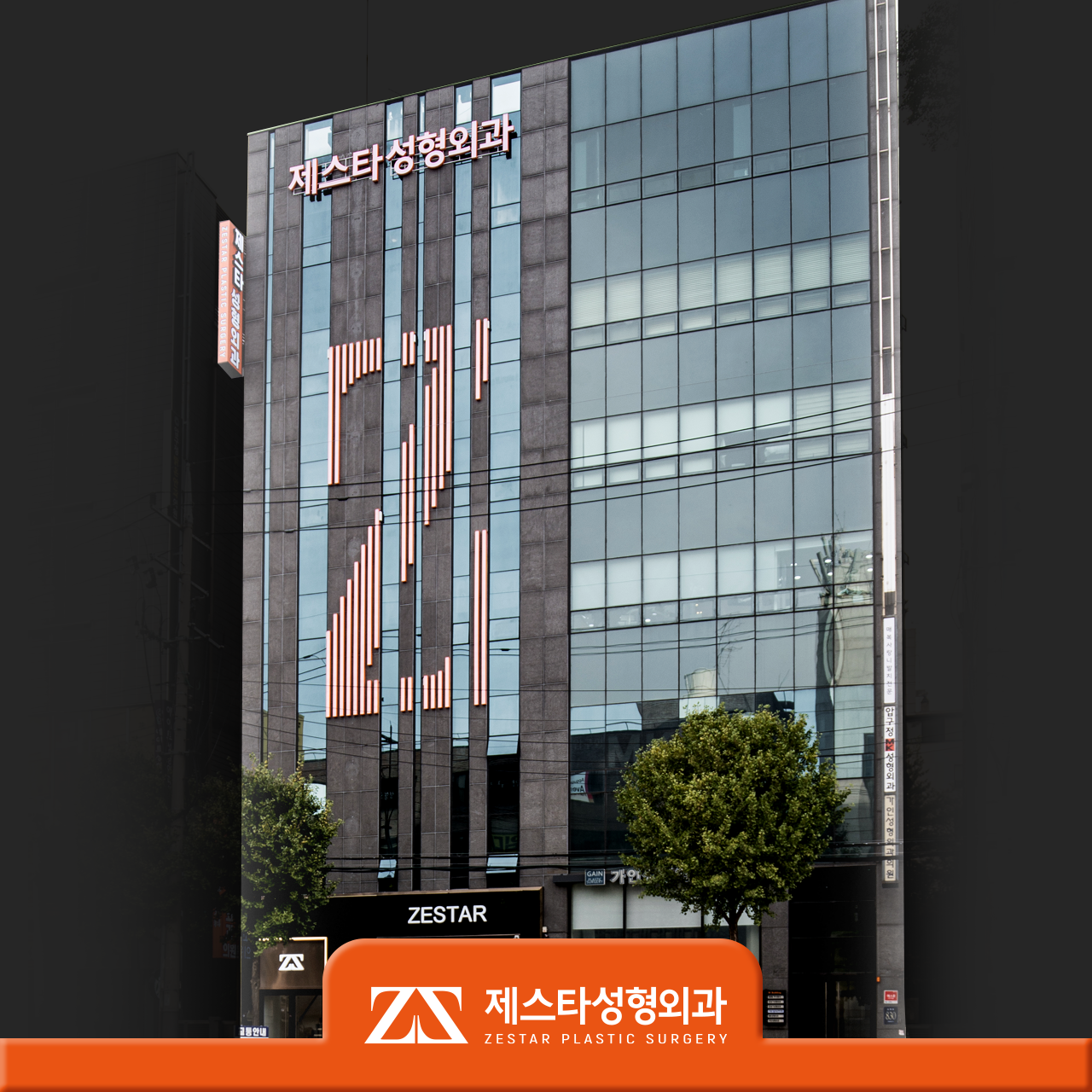 제스타성형외과의원