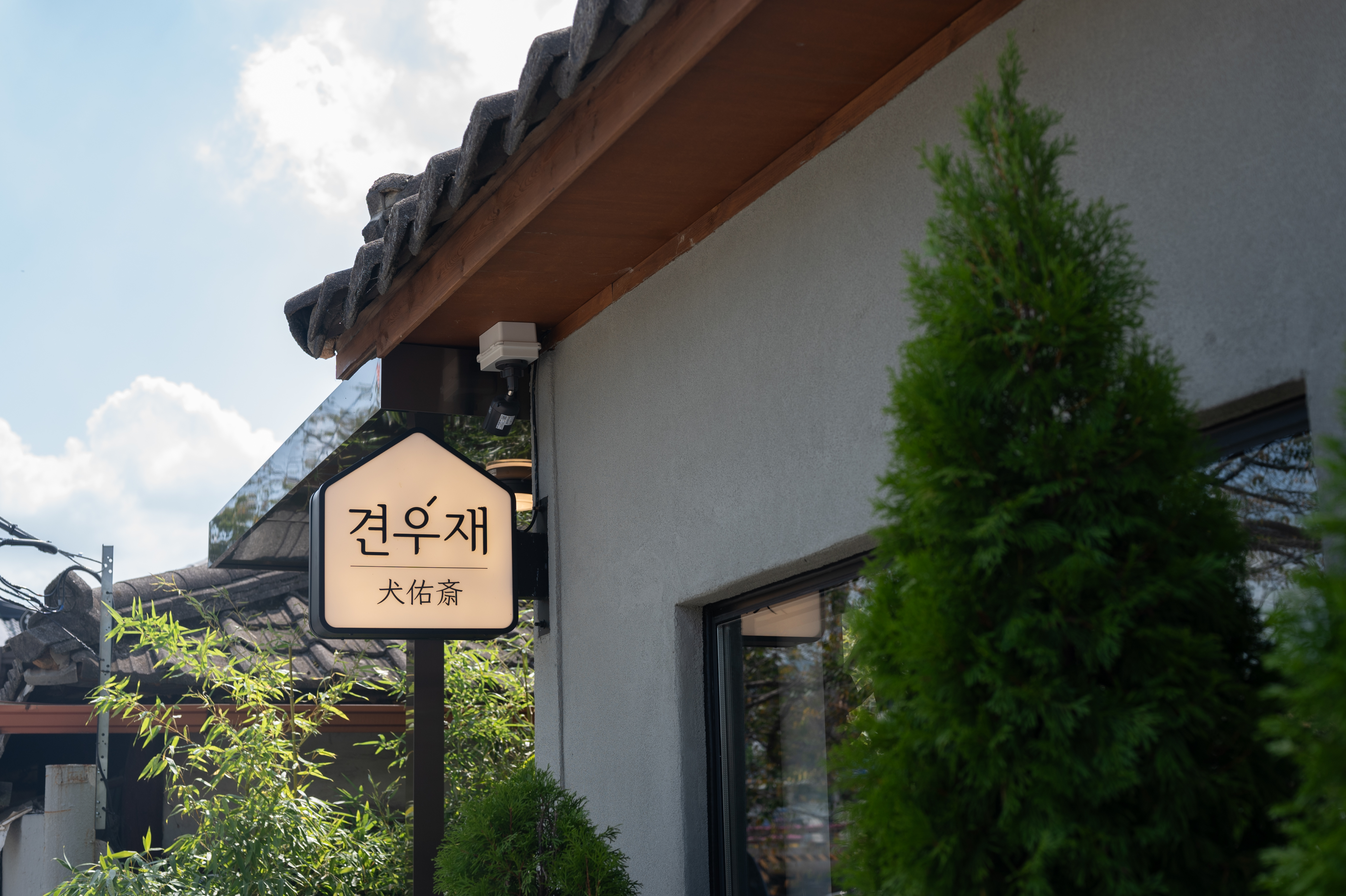 오리덕 반려동물 동반 애견카페