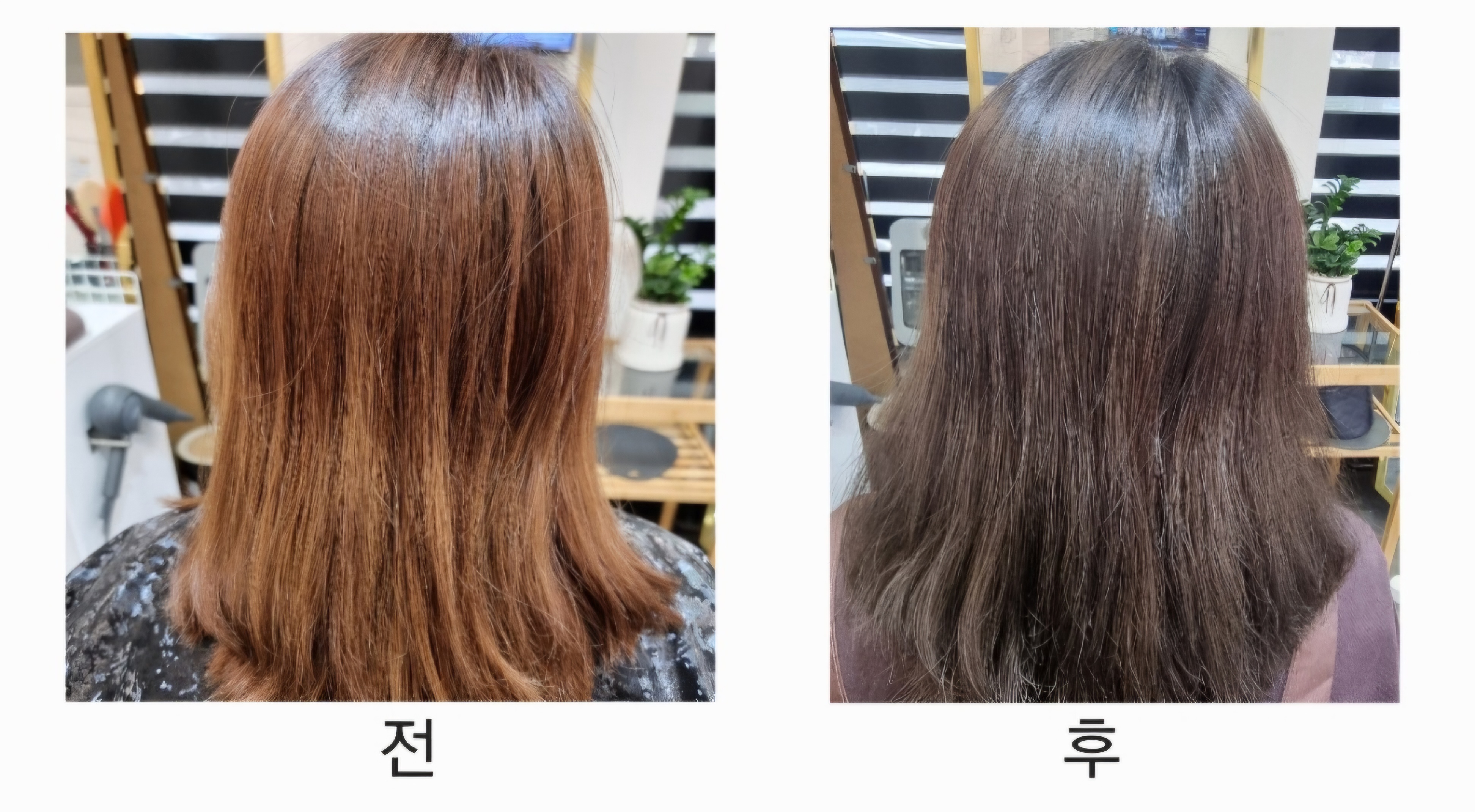 우리염색방