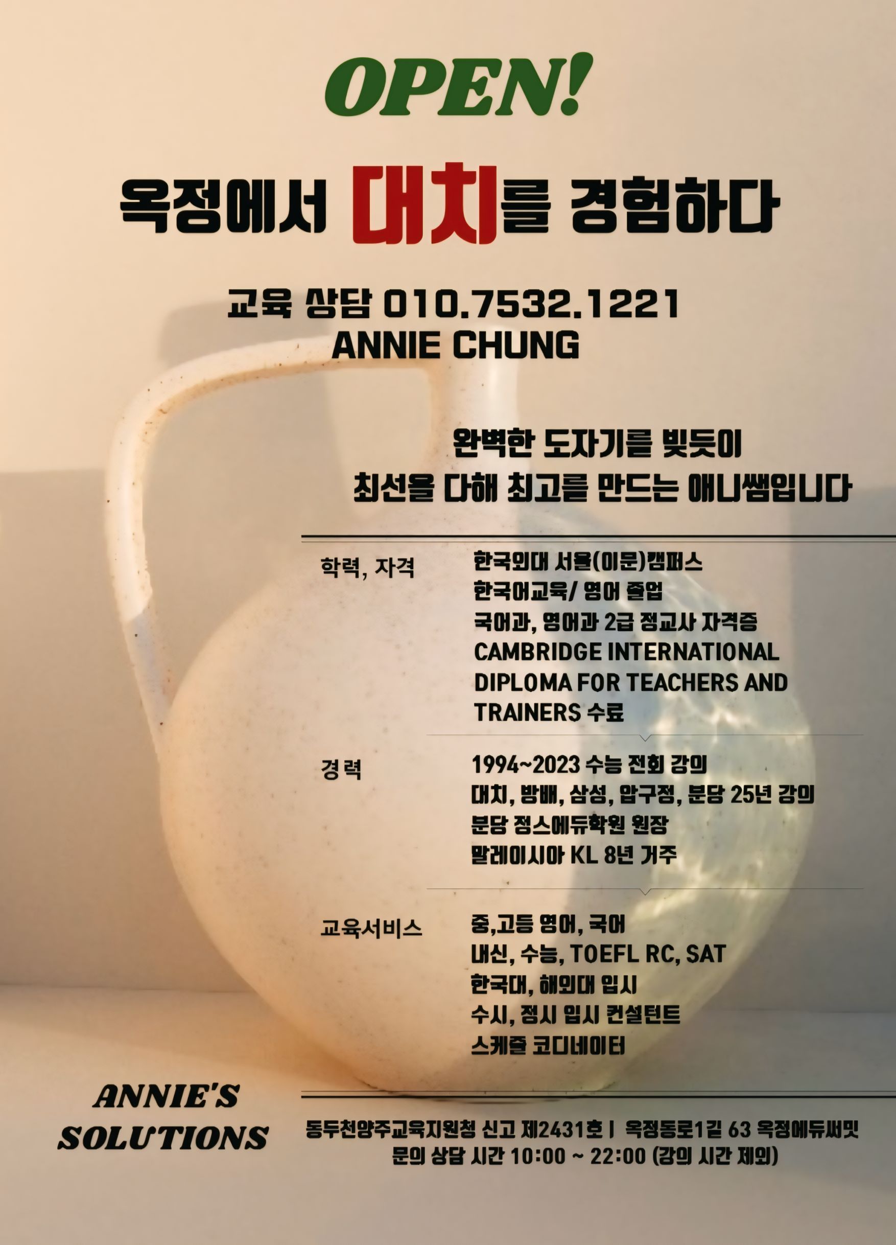 애니스솔루션