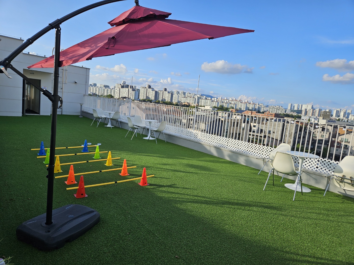 보고싶당개 대표 이미지