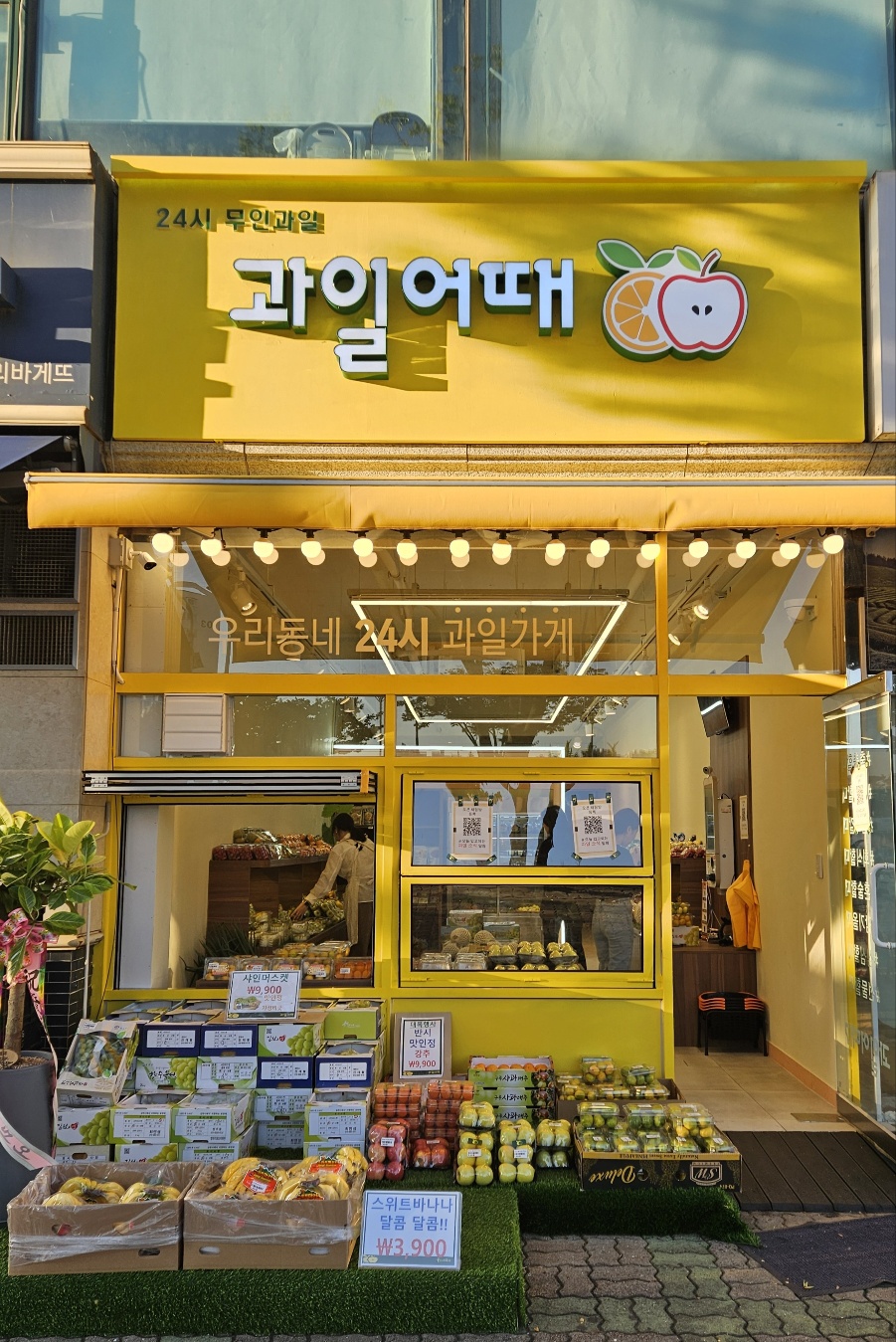 과일어때