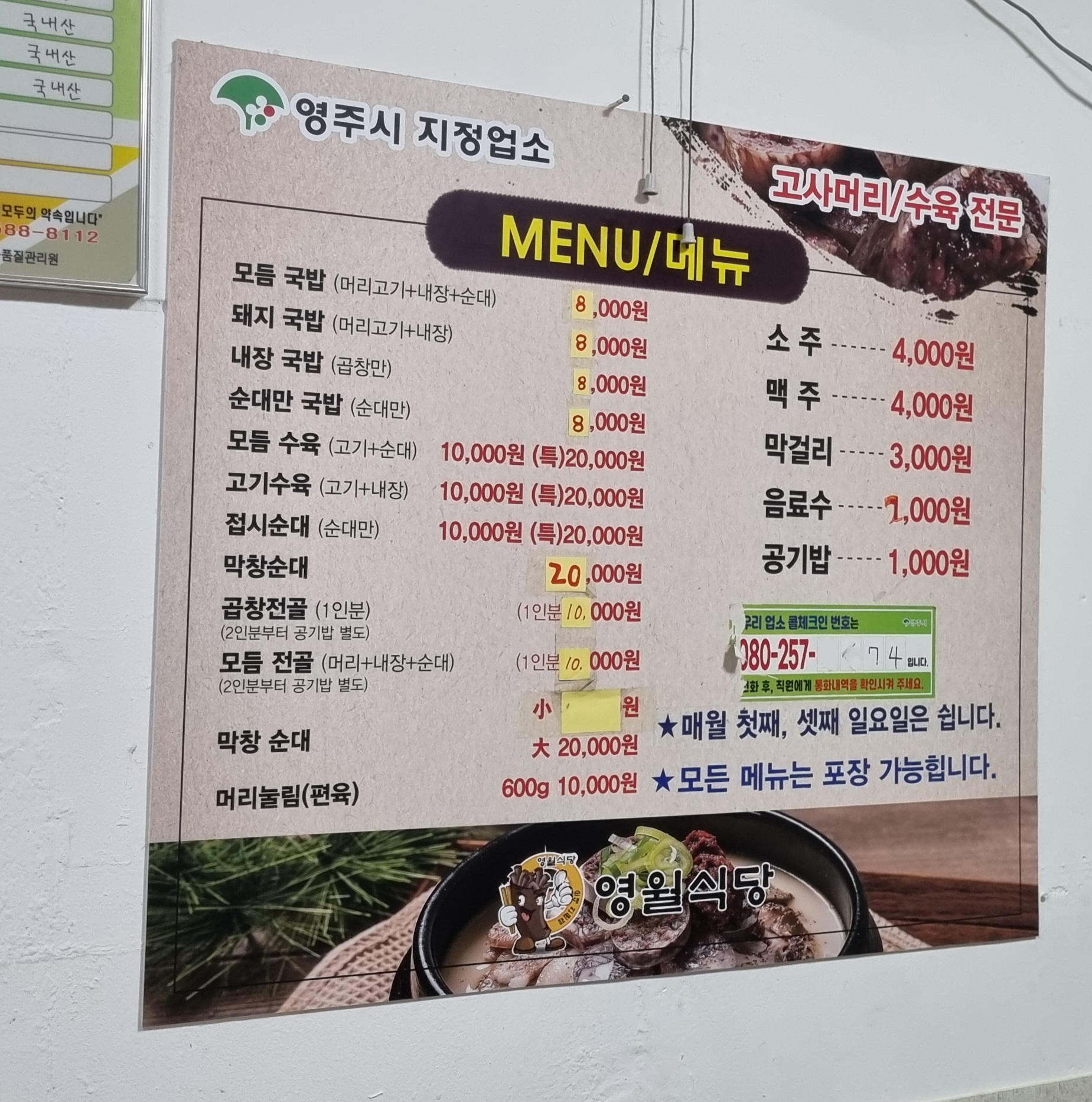 커맥 강원 애견맛집