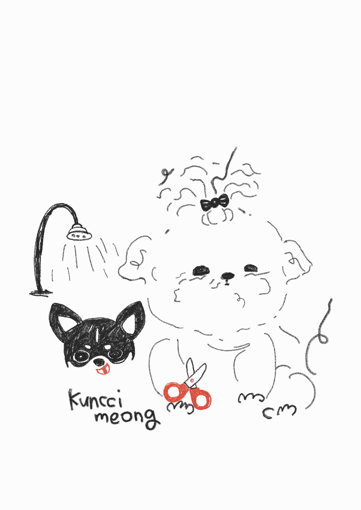 쿤찌멍 애견미용